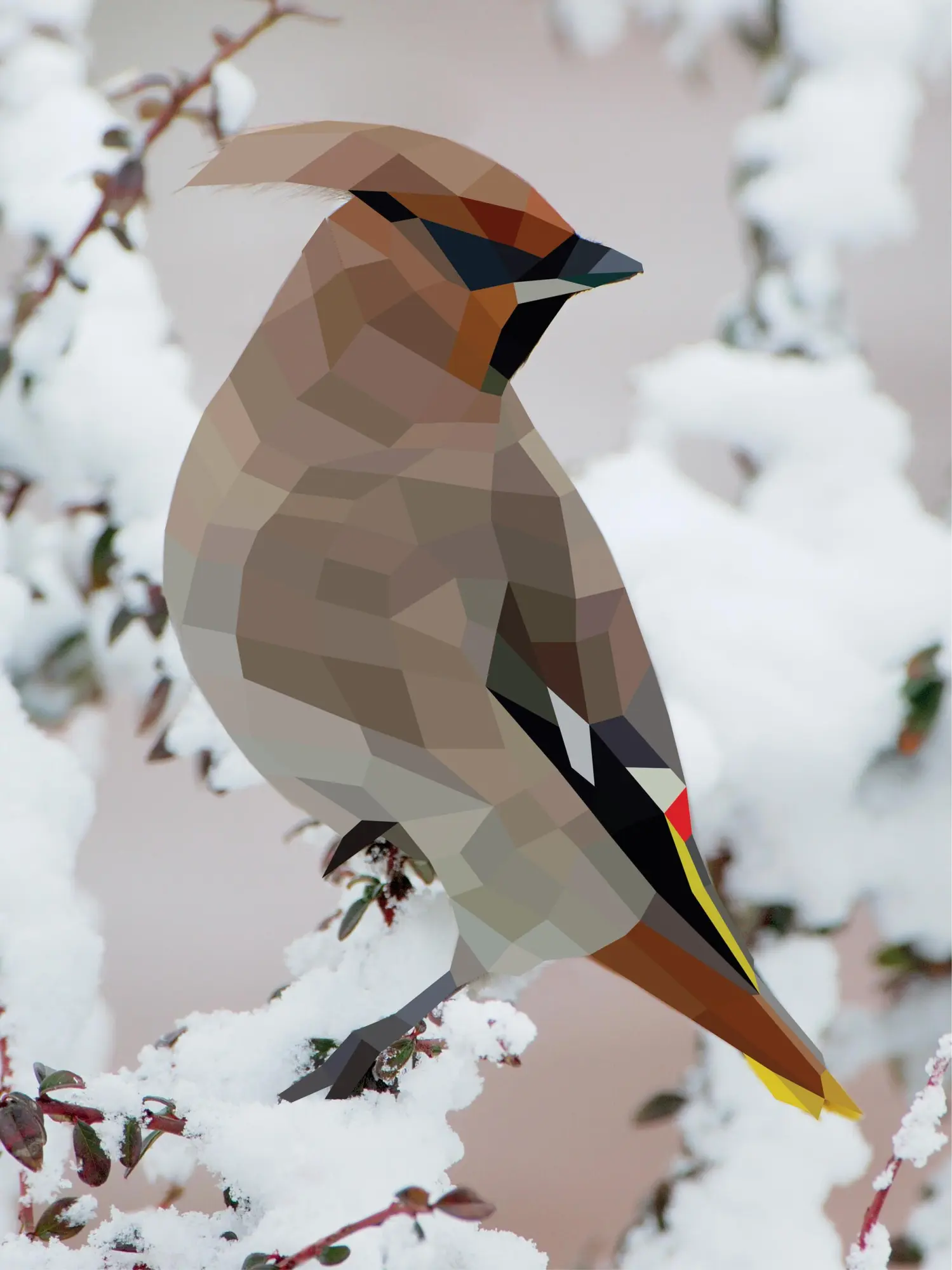 Bild: 9781523500123 | Paint by Sticker: Birds | Workman Publishing | Taschenbuch | Englisch