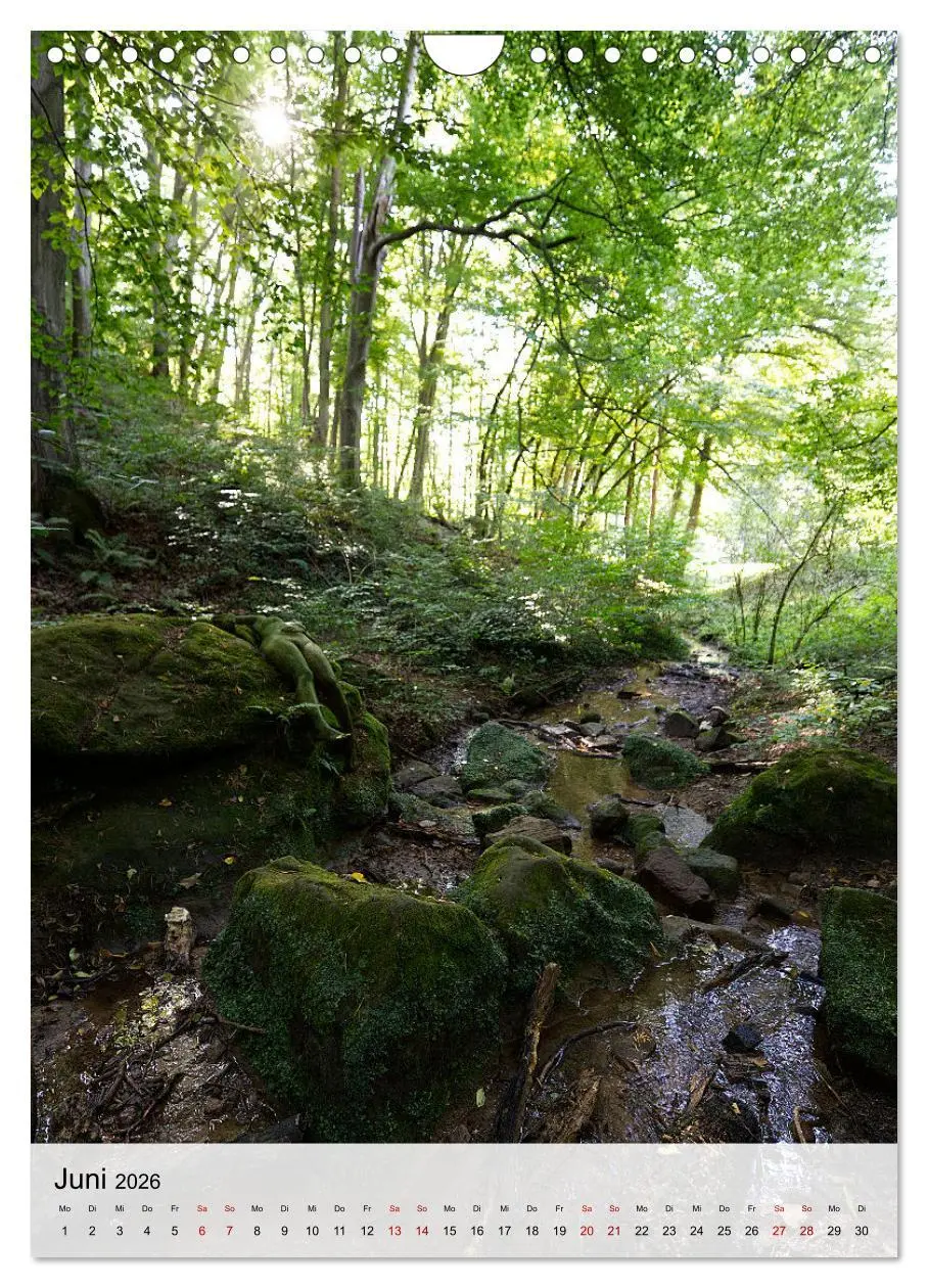 Bild: 9783516230123 | Angepasste Körper (Wandkalender 2026 DIN A4 hoch), CALVENDO...