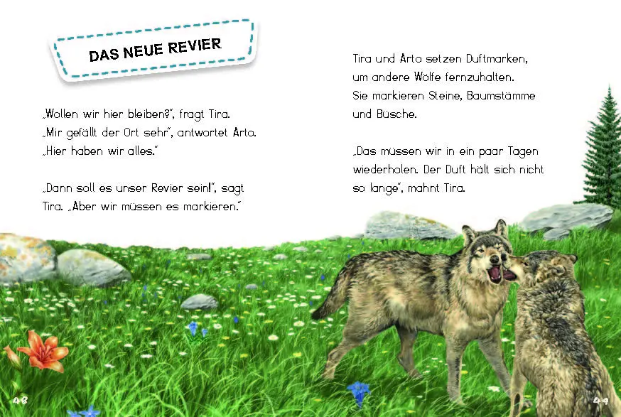 Bild: 9783968080123 | Tira, die junge Wölfin | Die Geschichte von Tiara und ihrem Rudel