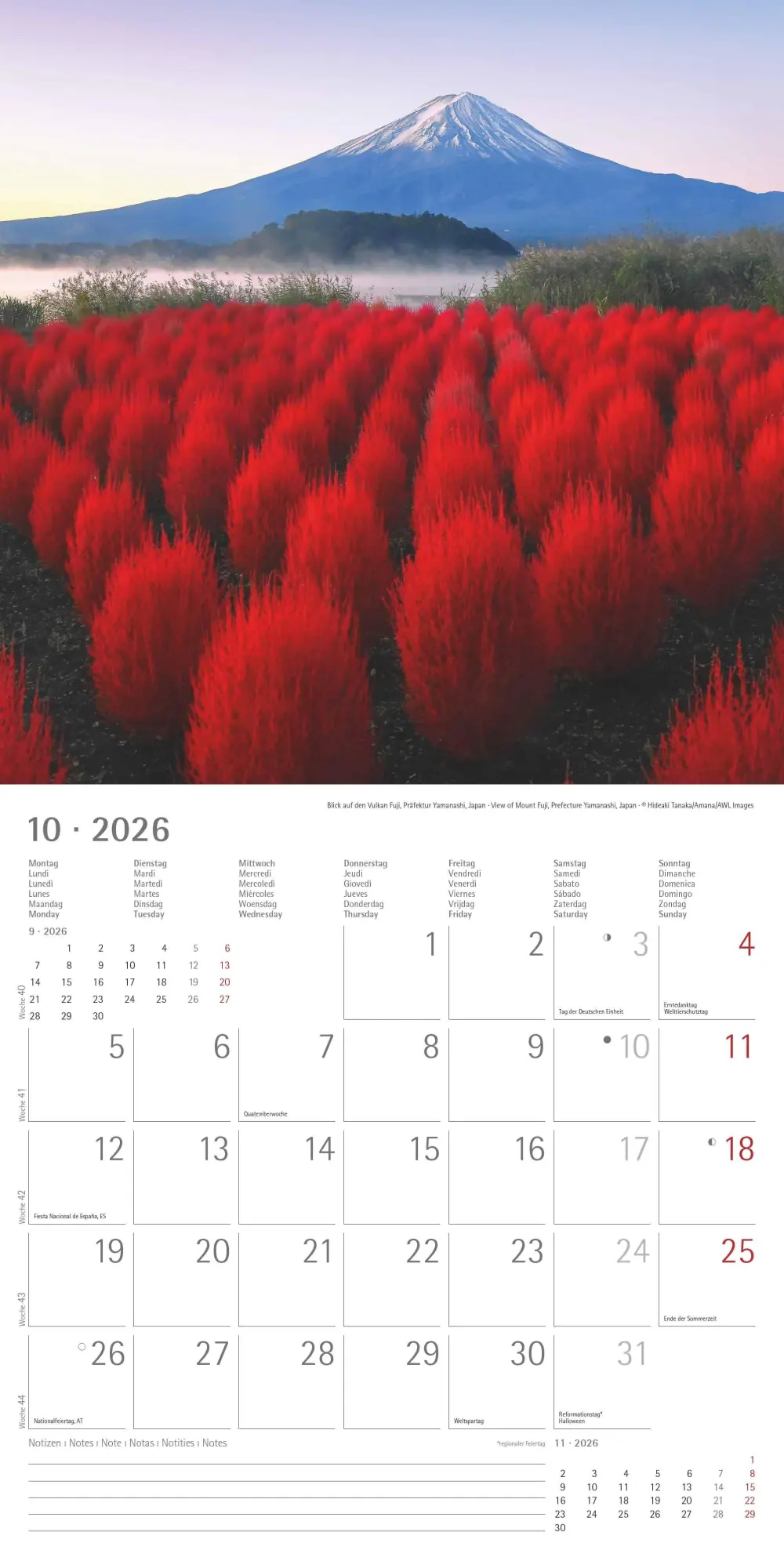 Bild: 4069095000223 | Alpha Edition - Wunder unserer Welt 2026 Broschürenkalender,...