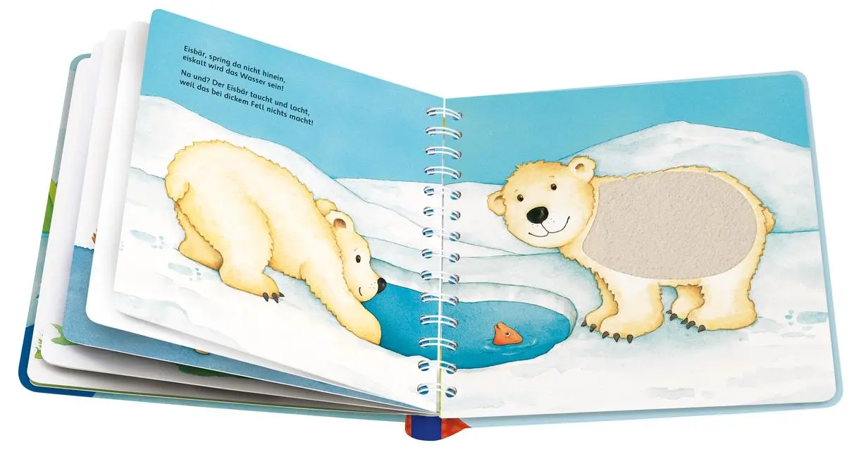 Bild: 9783473420223 | Mein großes Fühlbuch | Sandra Grimm | Taschenbuch | Spiralbindung