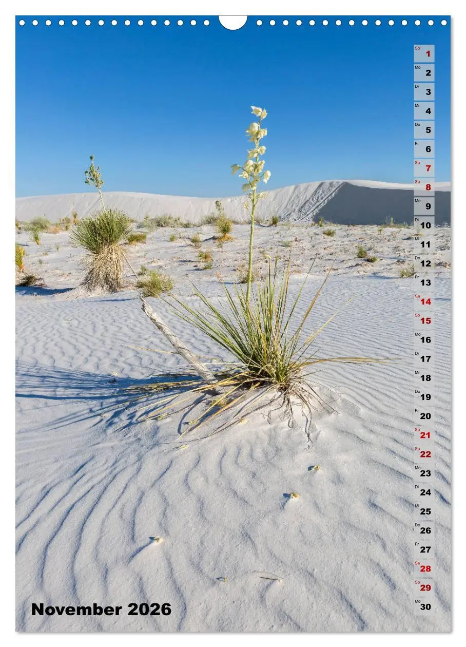 Bild: 9783516390223 | WHITE SANDS NATIONAL MONUMENT Wüstenimpressionen (Wandkalender 2026...