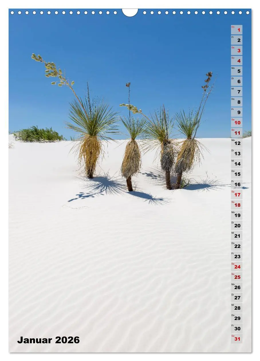 Bild: 9783516390223 | WHITE SANDS NATIONAL MONUMENT Wüstenimpressionen (Wandkalender 2026...