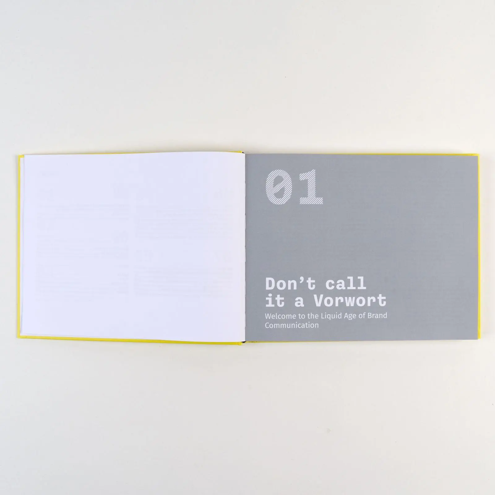 Bild: 9783593520223 | Holistic Brand Communication | Hannah Leimert (u. a.) | Buch | 204 S.