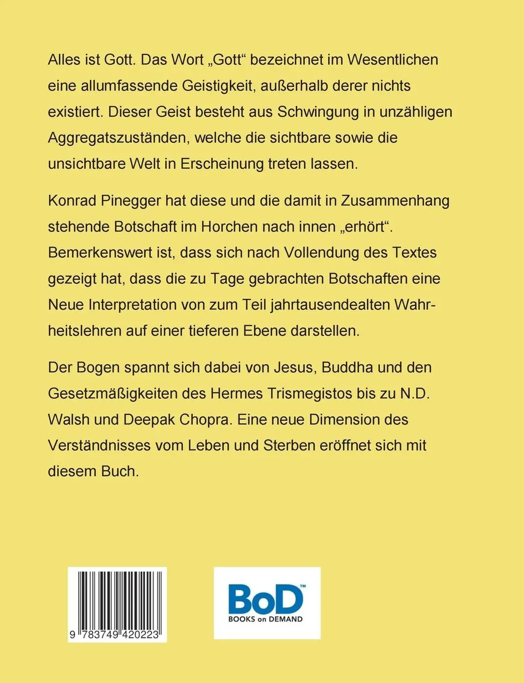 Rückseite: 9783749420223 | Wir sind das, was wir "Gott" nennen | Gespräche mit dem Sein | Buch