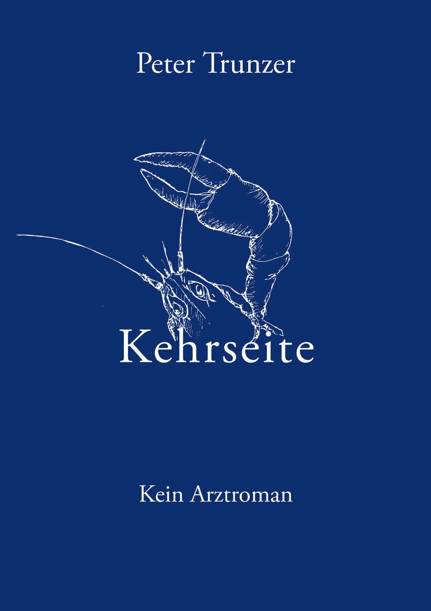 Cover: 9783833400223 | Kehrseite | Kein Arztroman | Peter Trunzer | Taschenbuch | 128 S.