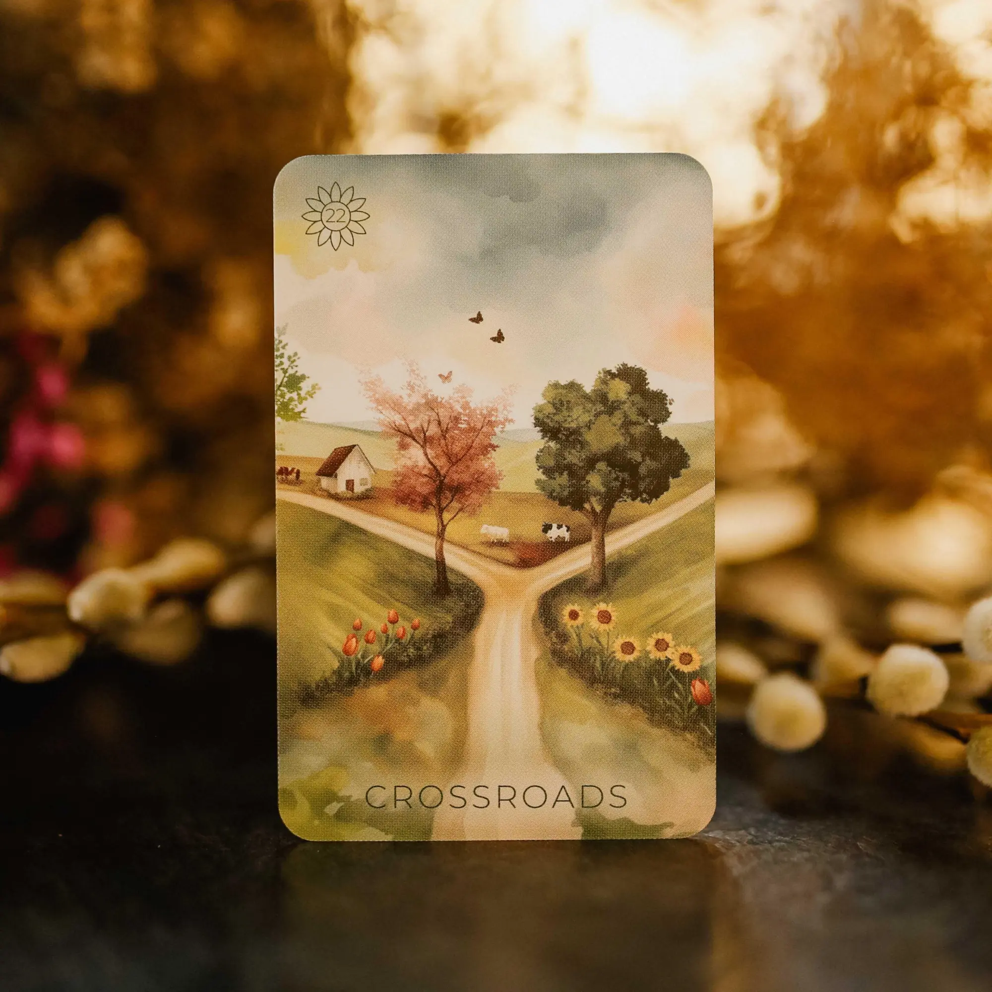Bild: 4250375110323 | Summer Serenade Lenormand (English) - 38 Cards with Booklet | Captijn