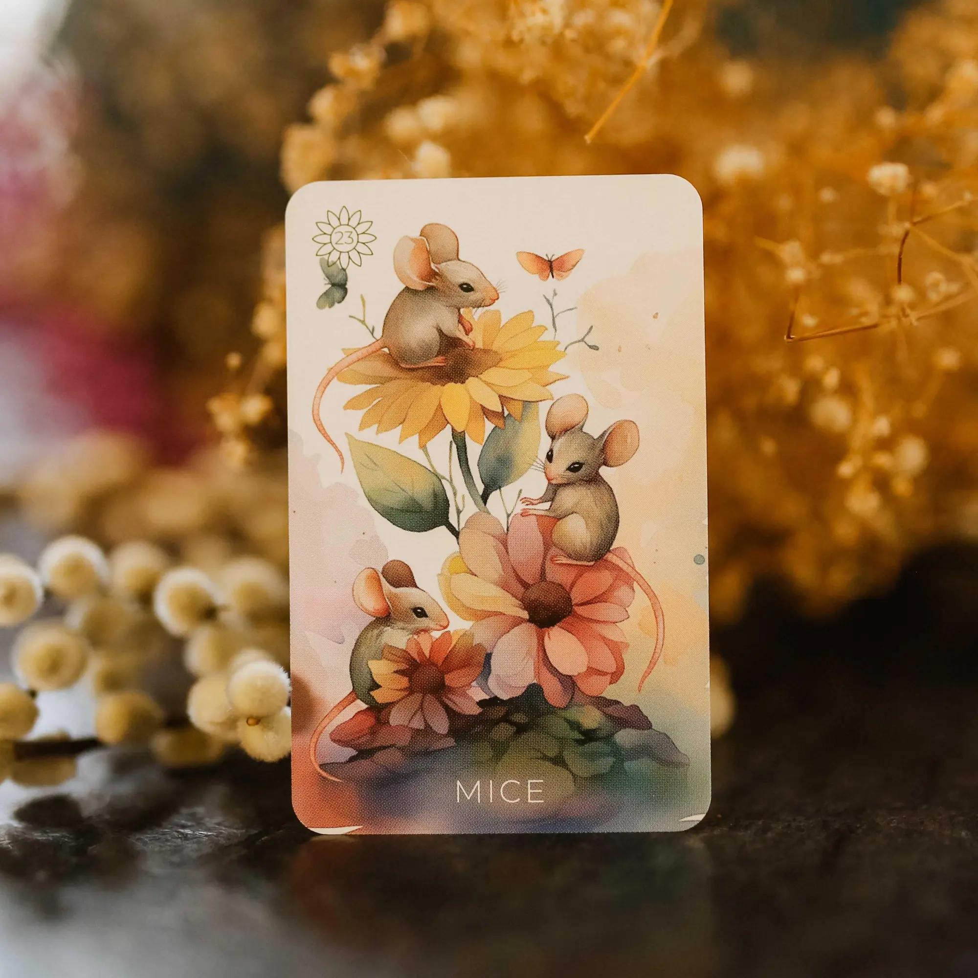 Bild: 4250375110323 | Summer Serenade Lenormand (English) - 38 Cards with Booklet | Captijn