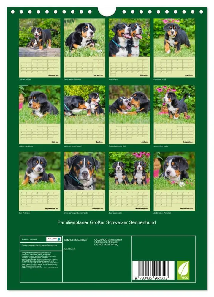 Bild: 9783435960323 | Familienplaner Großer Schweizer Sennenhund (Wandkalender 2025 DIN...