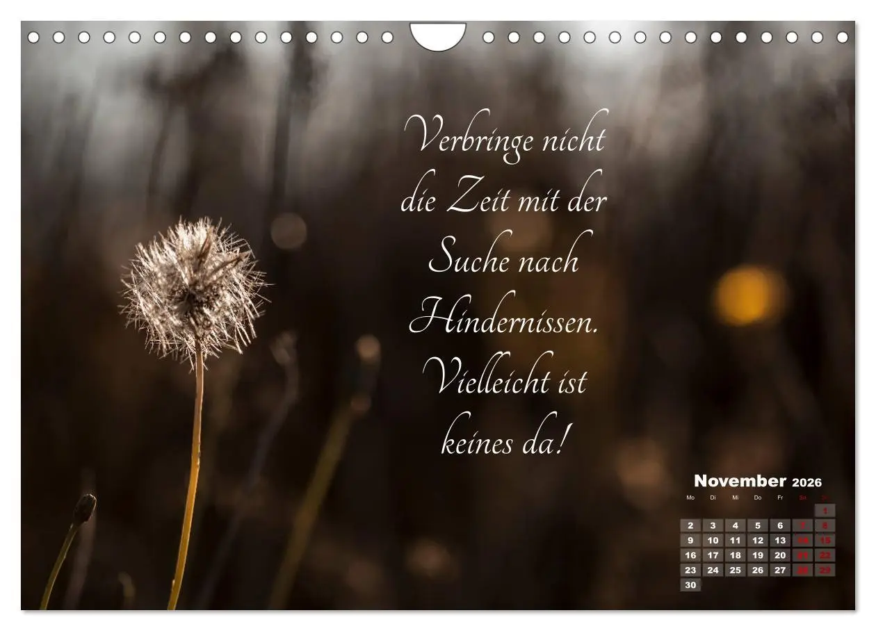 Bild: 9783457810323 | Chinesische Weisheiten (Wandkalender 2026 DIN A4 quer), CALVENDO...