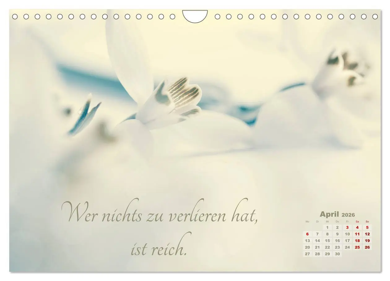 Bild: 9783457810323 | Chinesische Weisheiten (Wandkalender 2026 DIN A4 quer), CALVENDO...