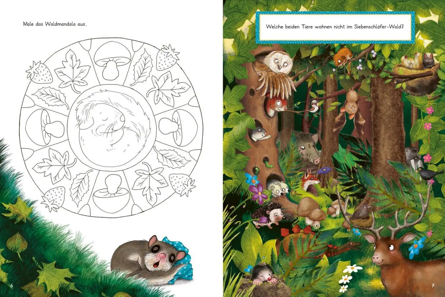 Bild: 9783522460323 | Der kleine Siebenschläfer - Mein Rätselschatz | Sabine Bohlmann | Buch