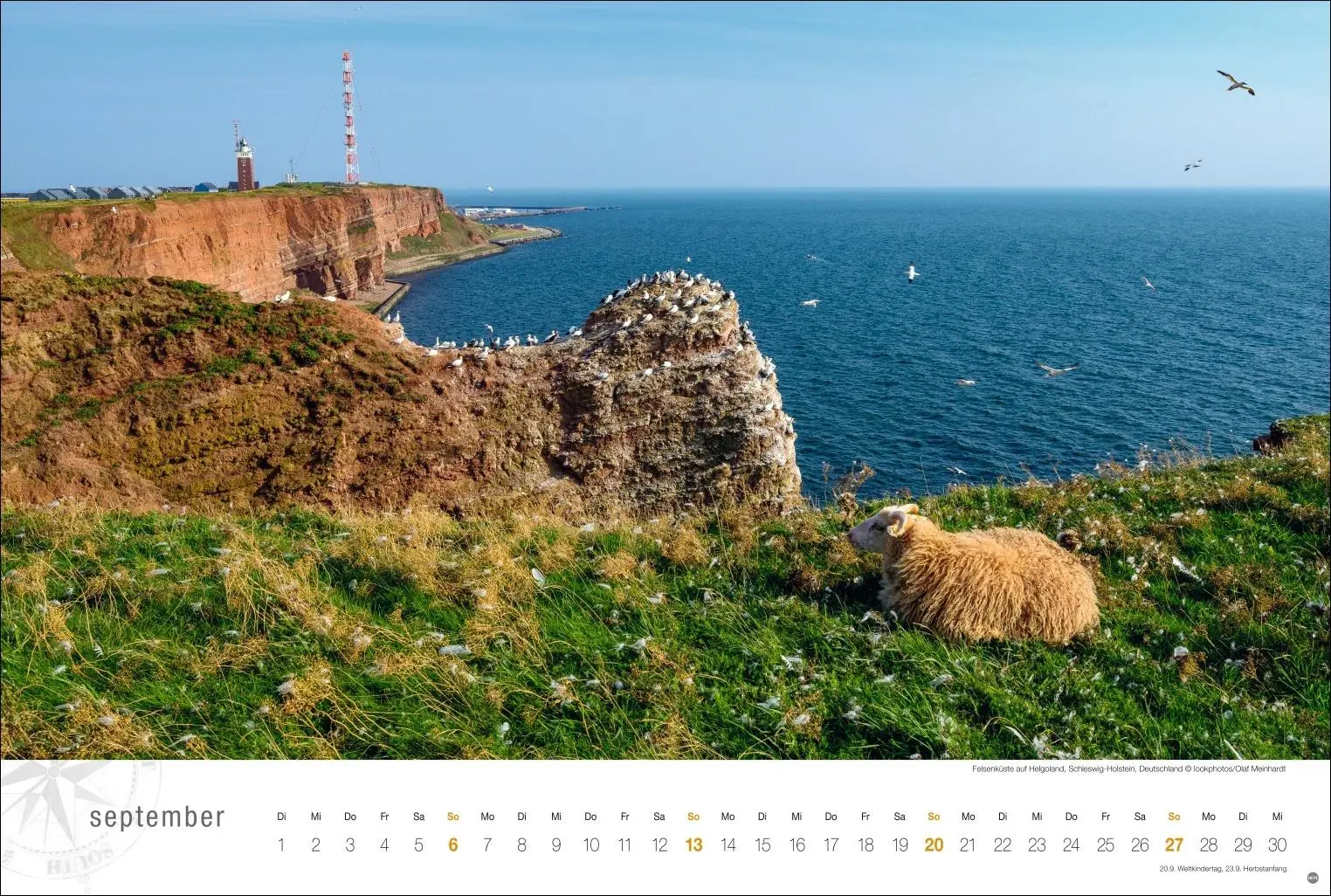 Bild: 9783756410323 | Nordsee Globetrotter Kalender 2026 - Von frischem Wind und weiten...