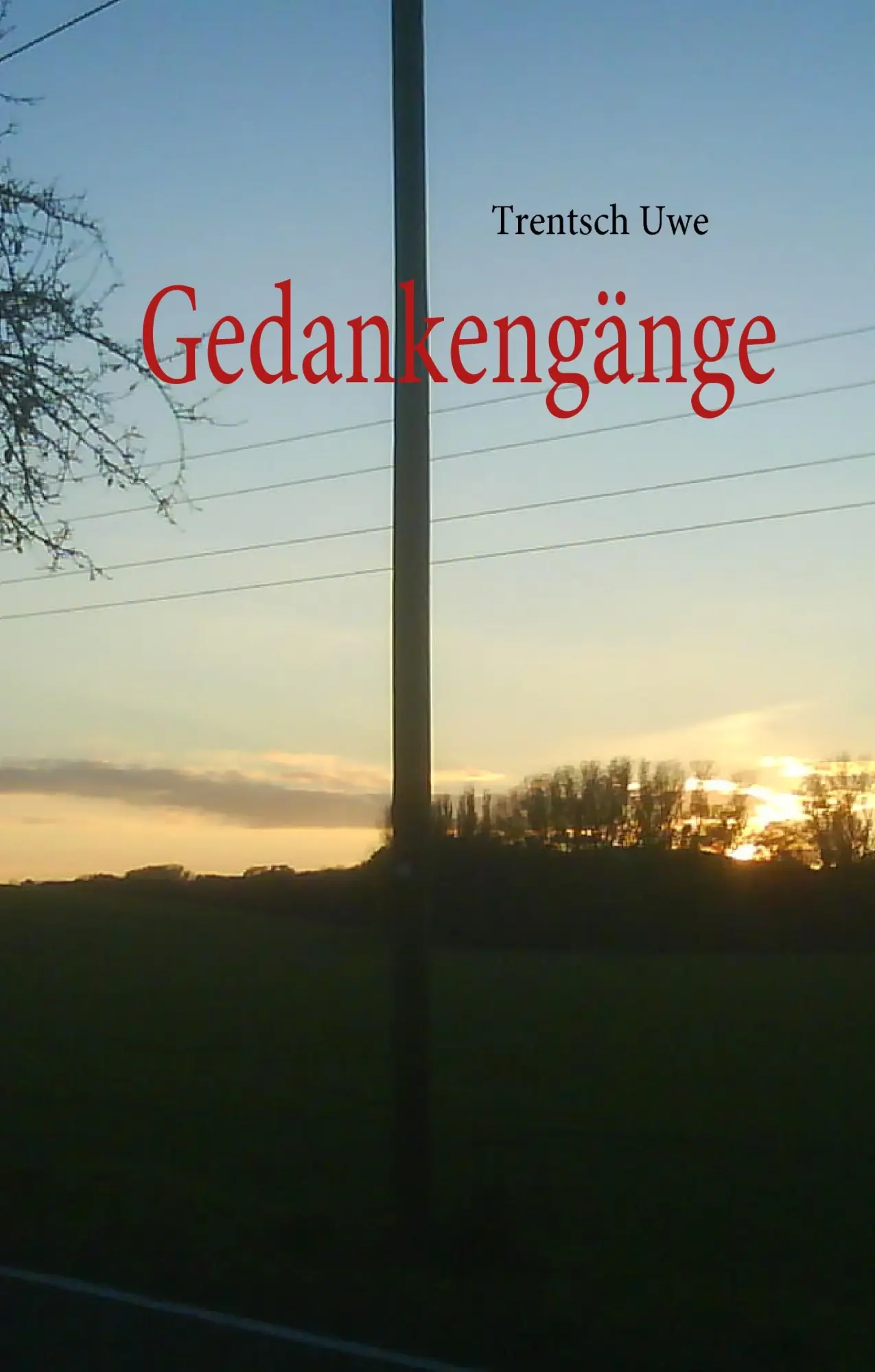 Cover: 9783842300323 | Gedankengänge | Trentsch Uwe | Buch | 68 S. | Deutsch | 2010