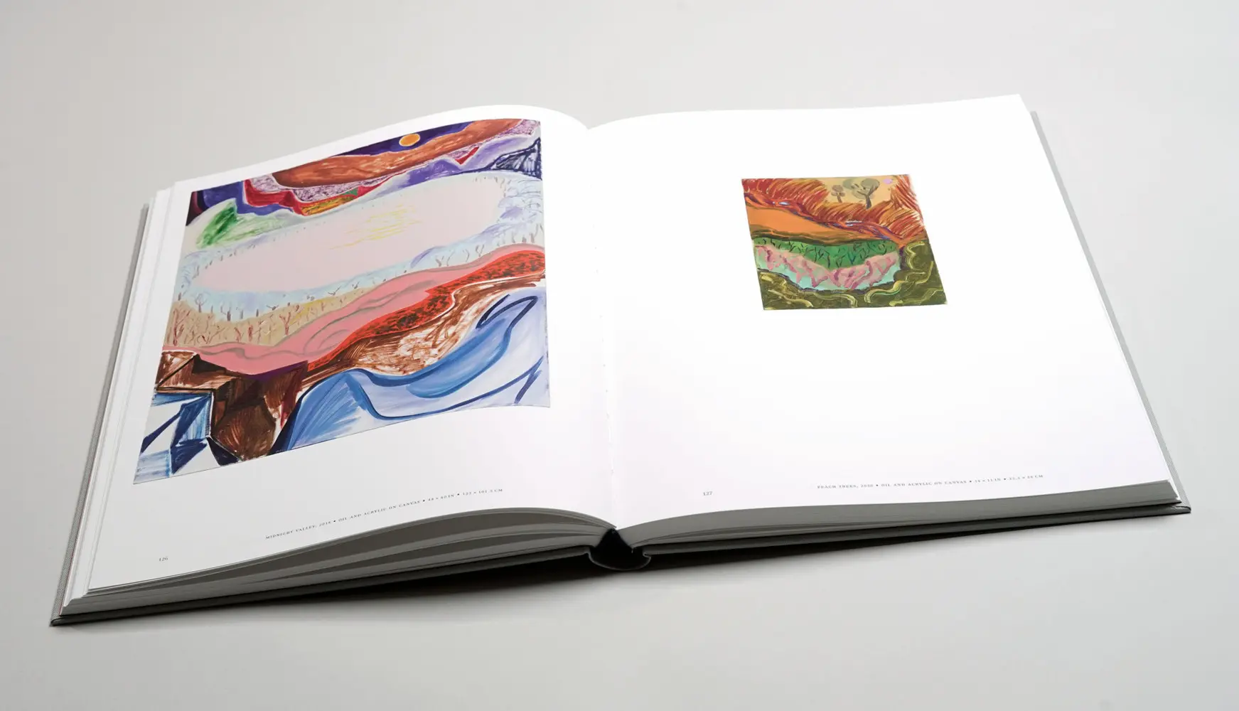 Bild: 9783969120323 | Shara Hughes: Pivot | Gesine Borcherdt (u. a.) | Buch | 244 S. | 2021