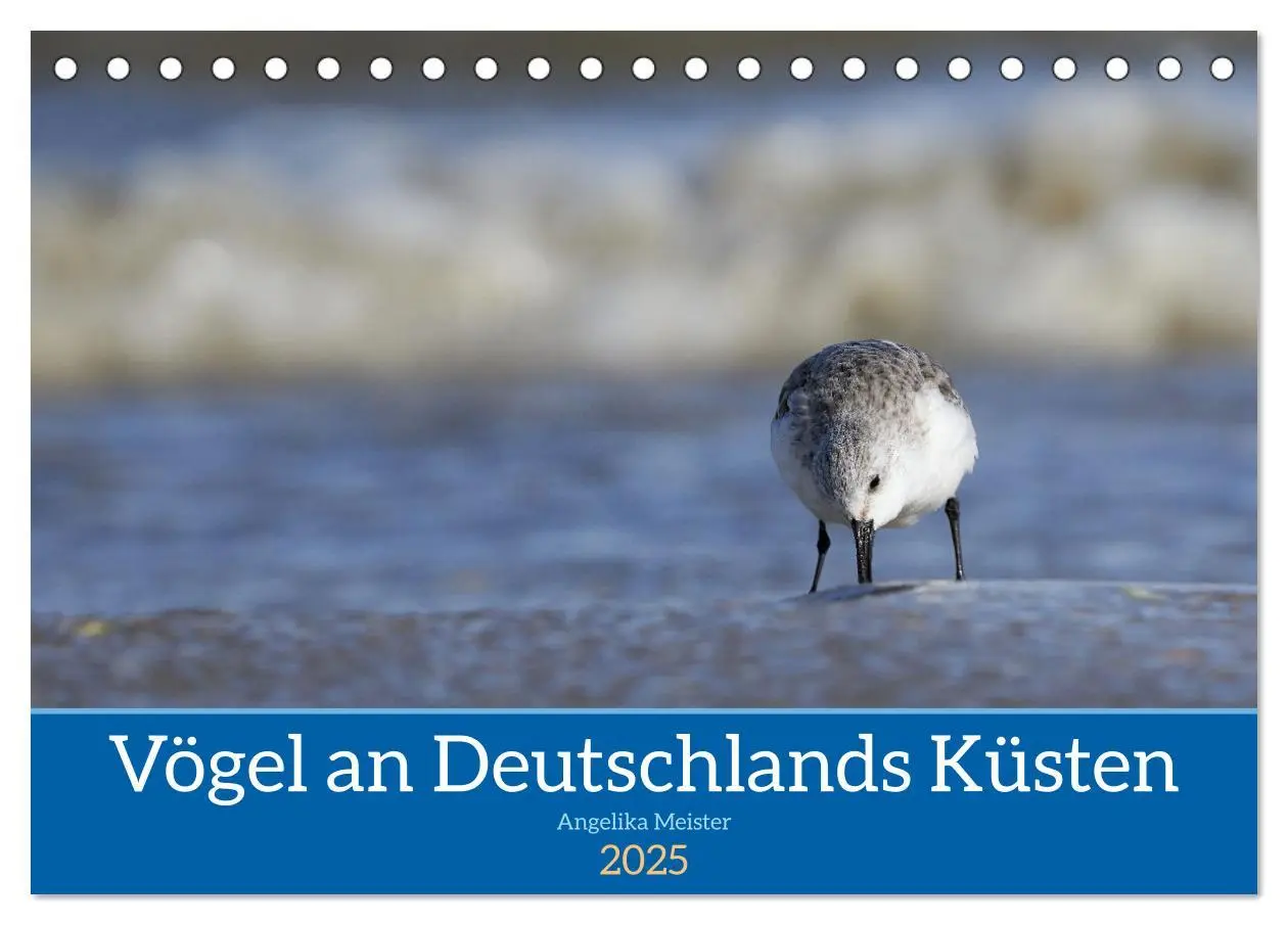 Cover: 9783435020423 | Vögel an Deutschlands Küsten (Tischkalender 2025 DIN A5 quer),...
