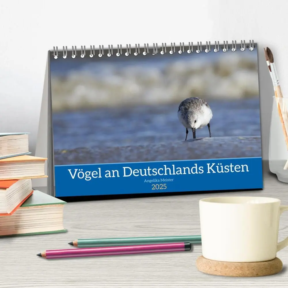 Bild: 9783435020423 | Vögel an Deutschlands Küsten (Tischkalender 2025 DIN A5 quer),...