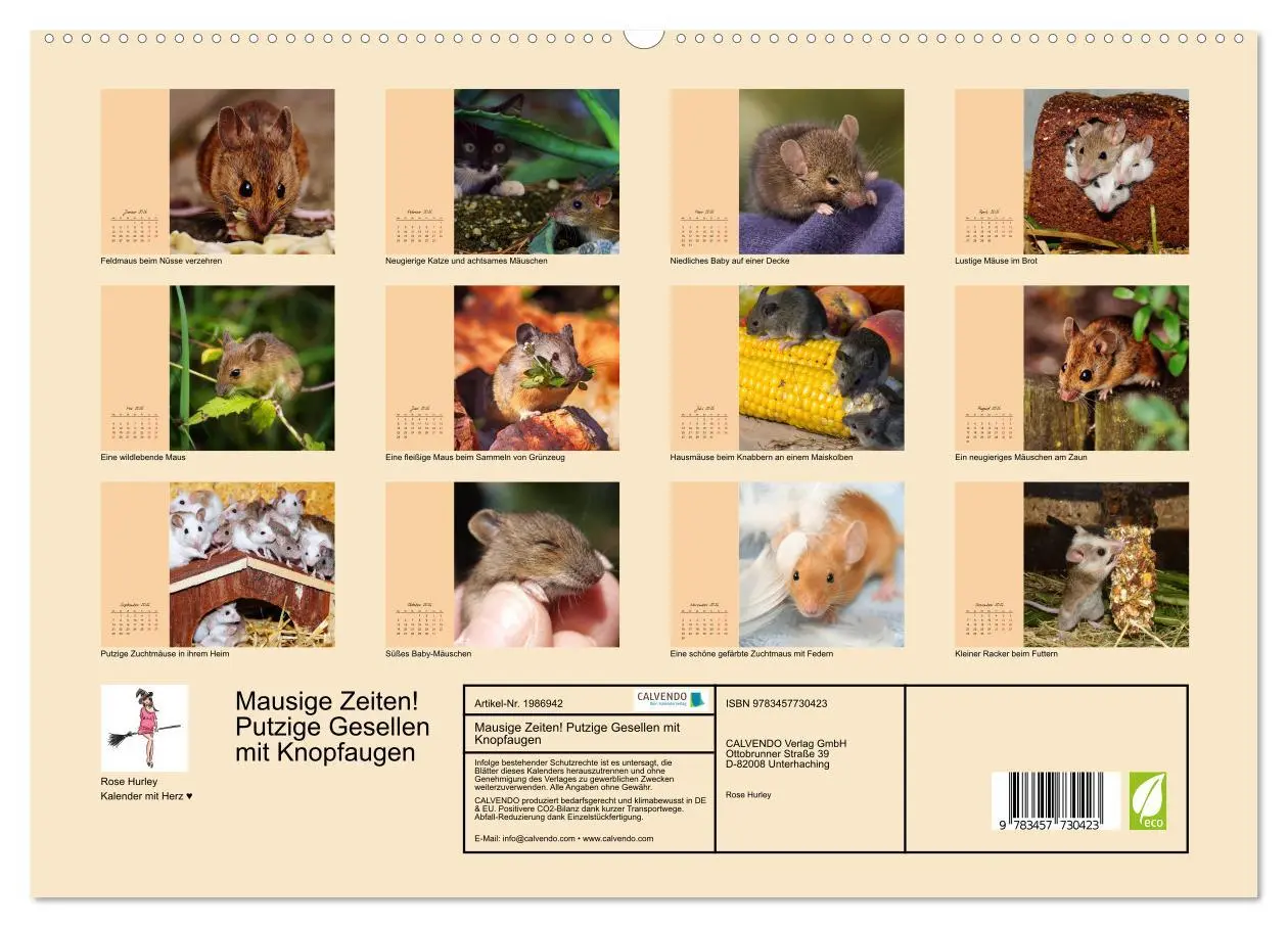 Bild: 9783457730423 | Mausige Zeiten! Putzige Gesellen mit Knopfaugen (hochwertiger...