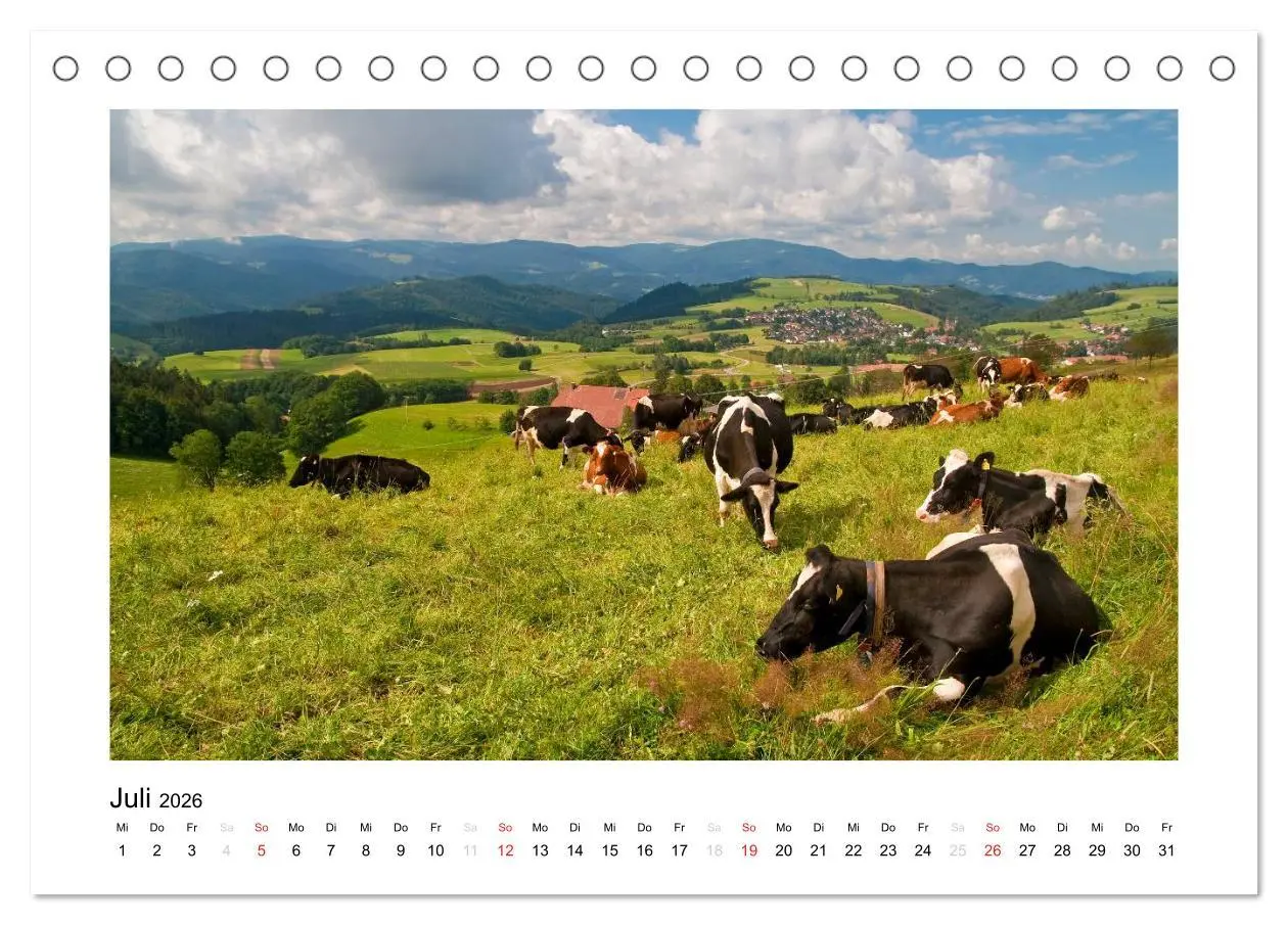 Bild: 9783516200423 | Schwarzwald 2026 (Tischkalender 2026 DIN A5 quer), CALVENDO...