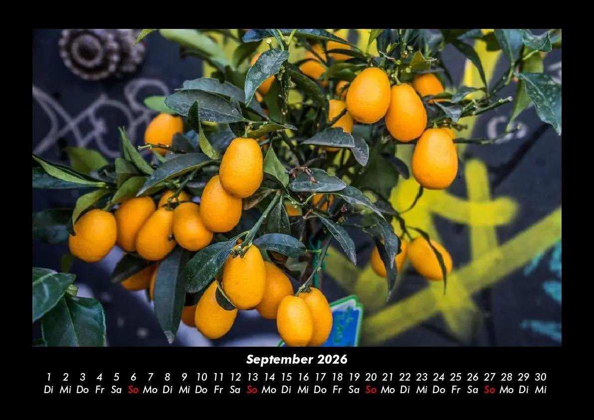 Bild: 9783695400423 | Barcelona 2026 Fotokalender DIN A3 | Tobias Becker | Kalender | 2026