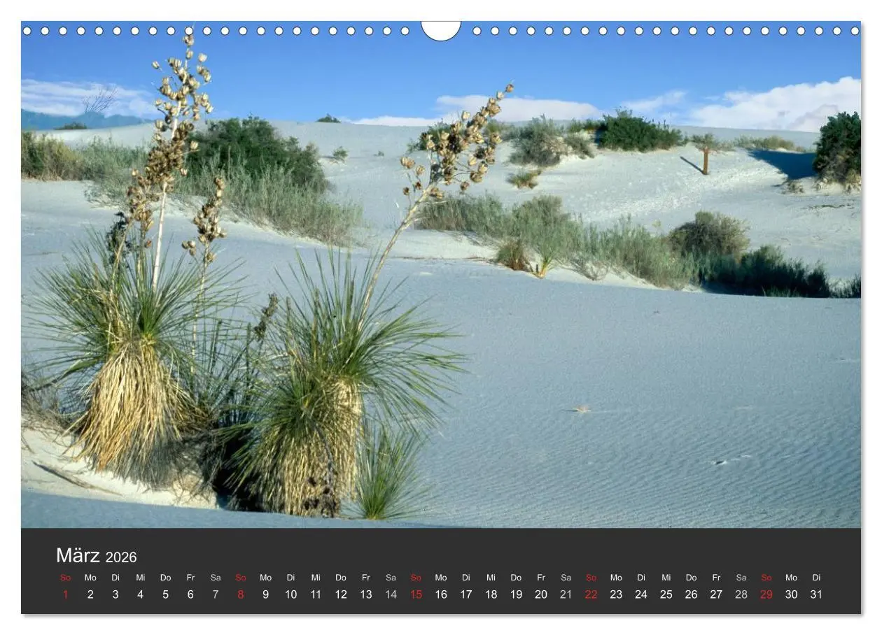 Bild: 9783516120523 | Wüsten, wilde Schönheiten (Wandkalender 2026 DIN A3 quer), CALVENDO...
