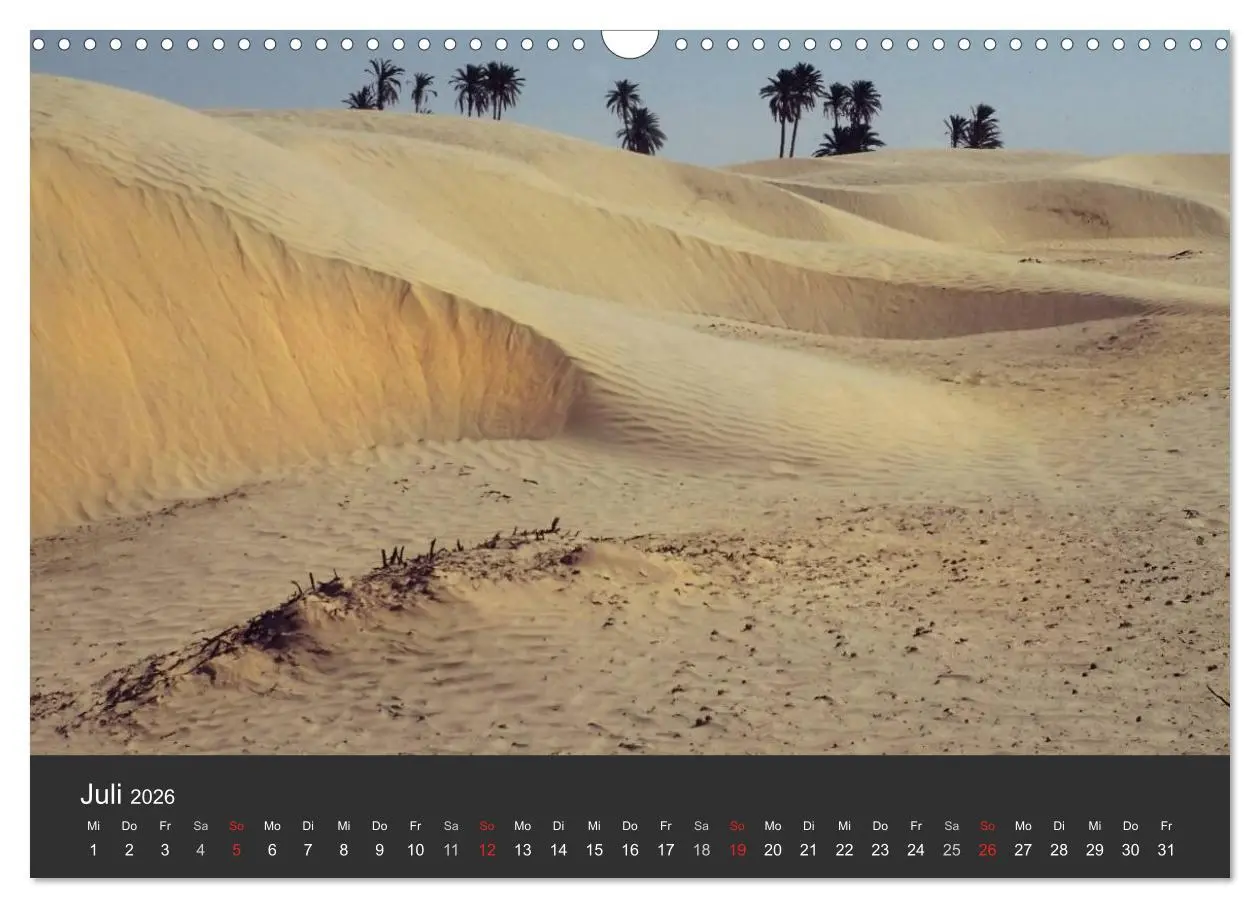 Bild: 9783516120523 | Wüsten, wilde Schönheiten (Wandkalender 2026 DIN A3 quer), CALVENDO...