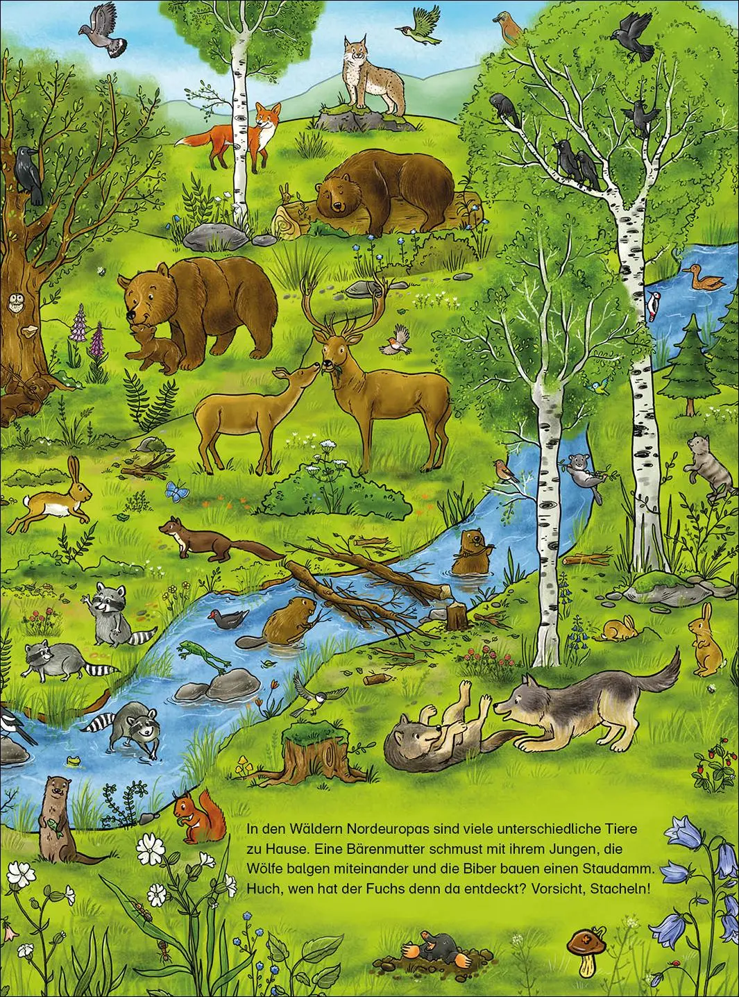 Bild: 9783743210523 | Das große Wimmelbuch der Tiere | Loewe Wimmelbücher | Buch | 16 S.