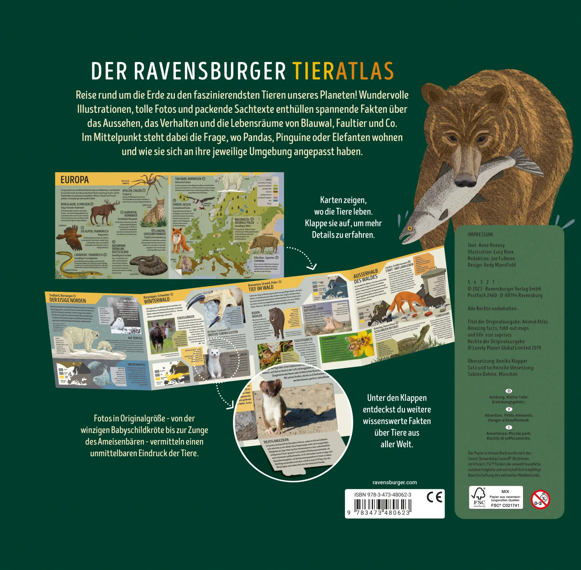 Rückseite: 9783473480623 | Der Ravensburger Tieratlas | Anne Rooney | Buch | 62 S. | Deutsch
