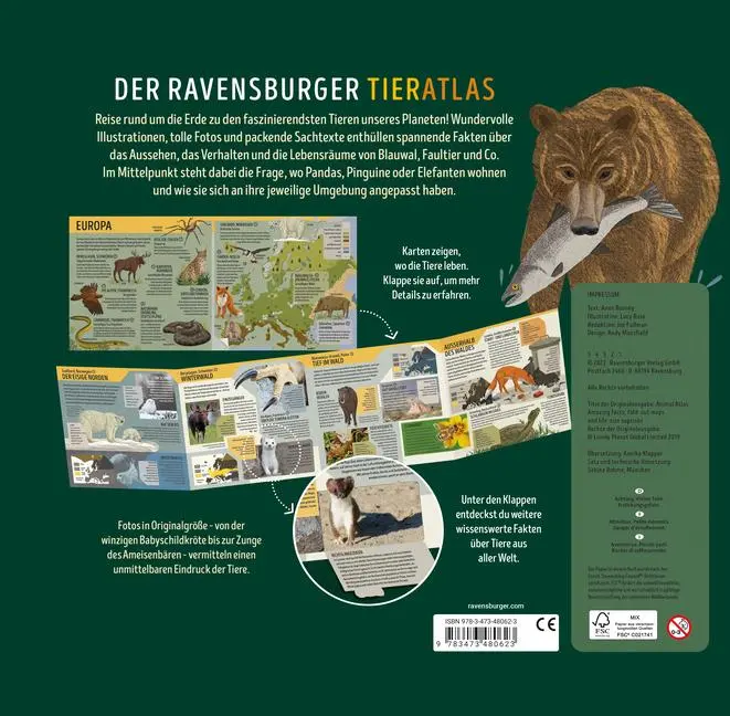 Bild: 9783473480623 | Der Ravensburger Tieratlas | Anne Rooney | Buch | 62 S. | Deutsch