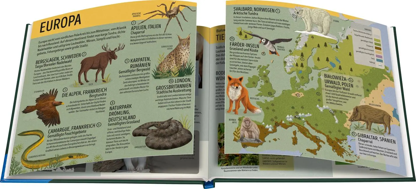 Bild: 9783473480623 | Der Ravensburger Tieratlas | Anne Rooney | Buch | 62 S. | Deutsch