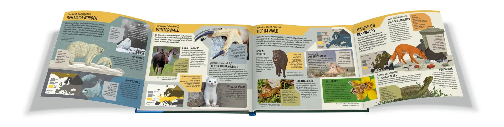 Bild: 9783473480623 | Der Ravensburger Tieratlas | Anne Rooney | Buch | 62 S. | Deutsch
