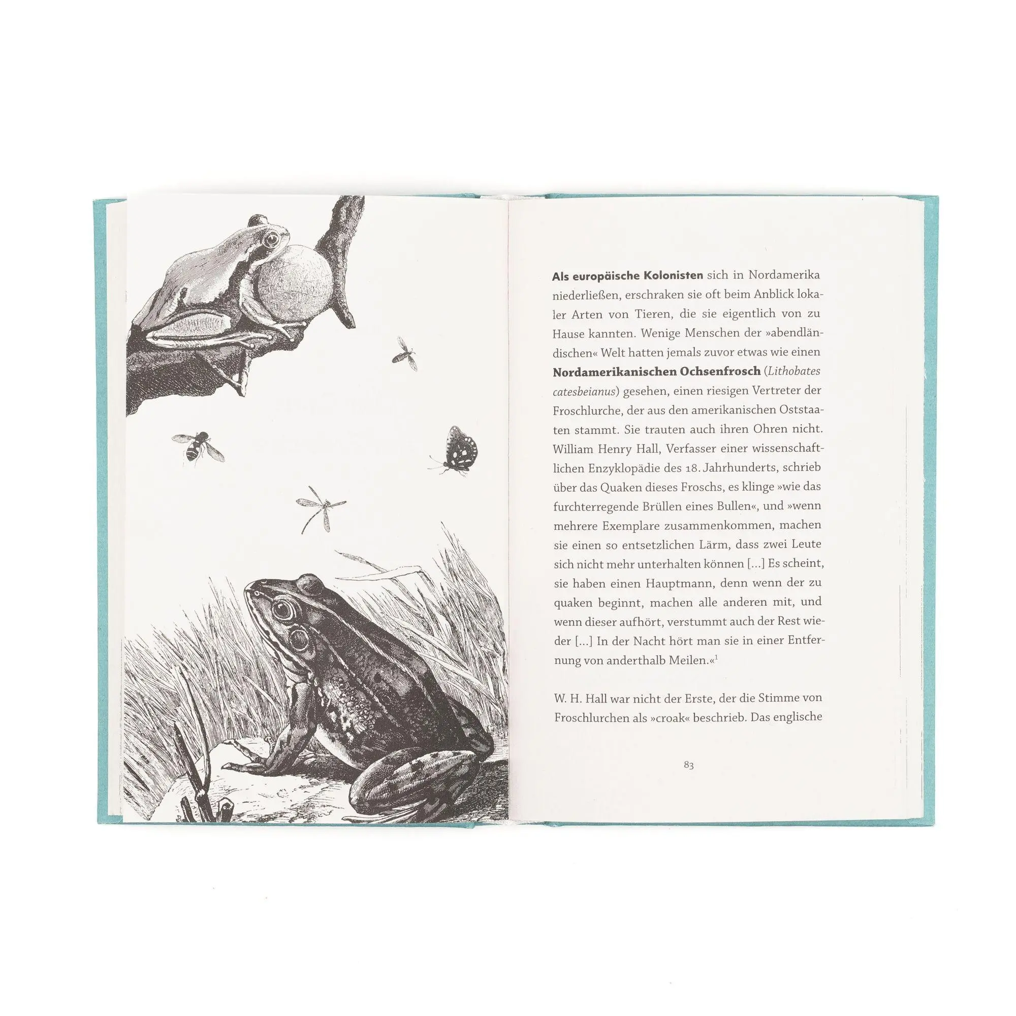 Bild: 9783365010723 | Frösche. Meister der Anpassung | Sally Coulthard | Buch | 208 S.