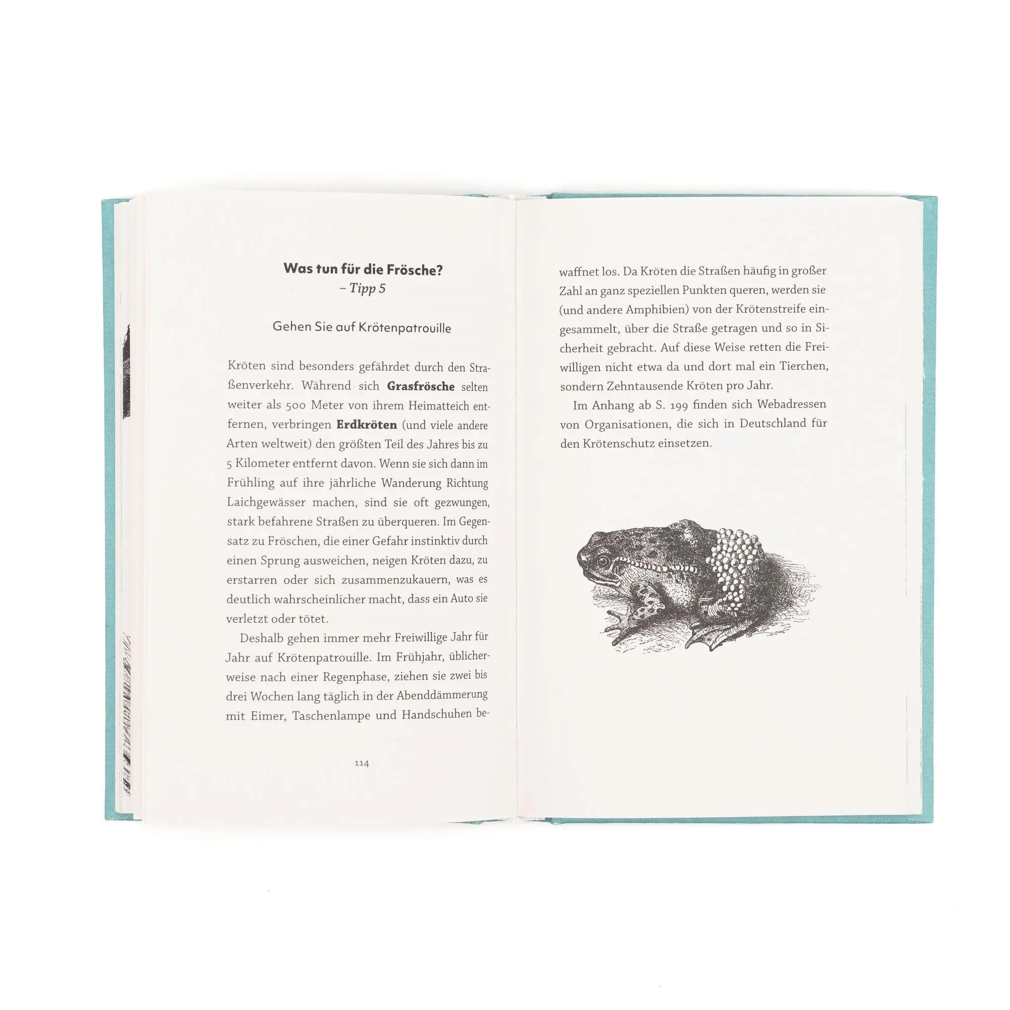 Bild: 9783365010723 | Frösche. Meister der Anpassung | Sally Coulthard | Buch | 208 S.