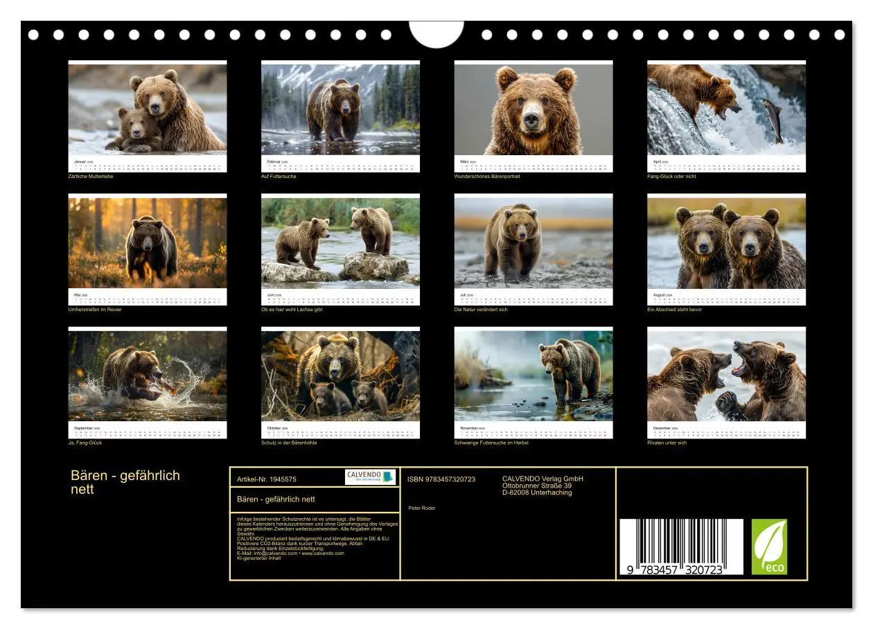 Bild: 9783457320723 | Bären - gefährlich nett (Wandkalender 2026 DIN A4 quer), CALVENDO...