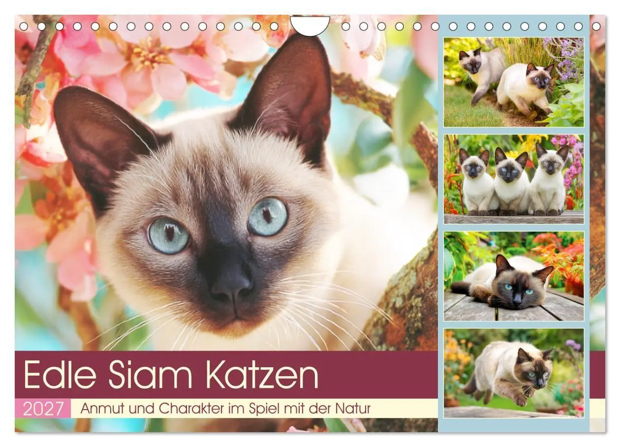 Cover: 9783516950823 | Edle Siamkatzen. Anmut und Charakter im Spiel mit der Natur...