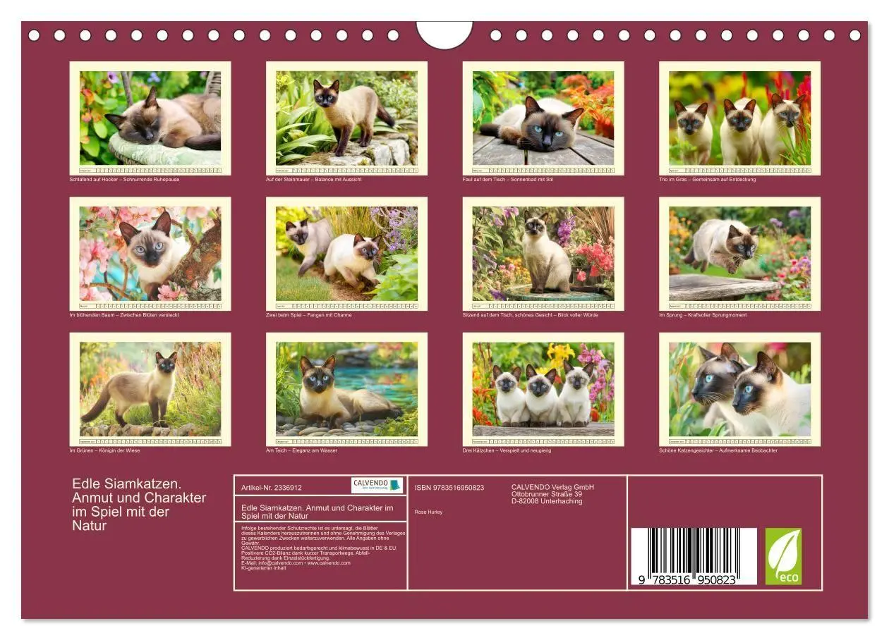 Bild: 9783516950823 | Edle Siamkatzen. Anmut und Charakter im Spiel mit der Natur...