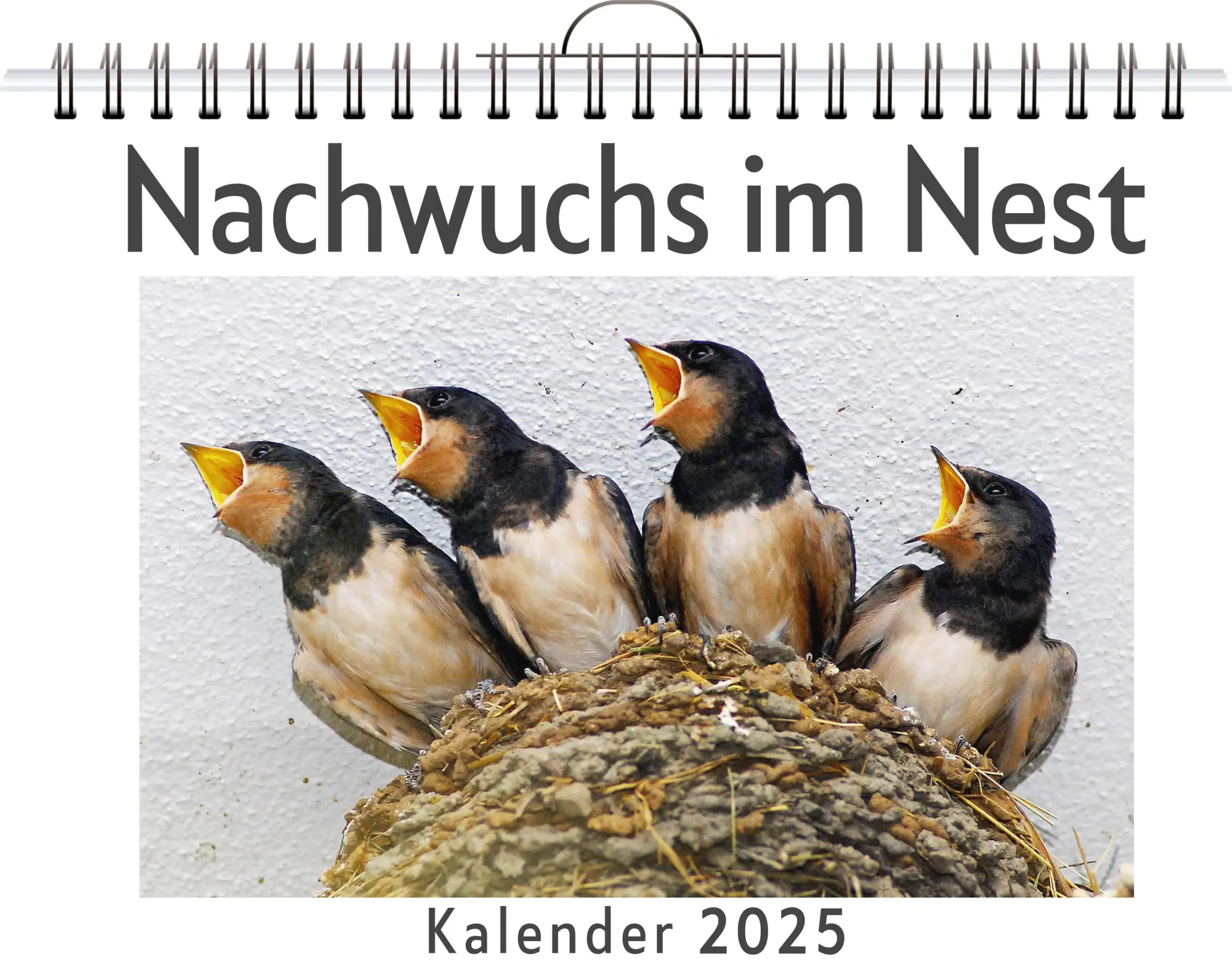 Cover: 9783759120823 | Nachwuchs im Nest | Lina Frank | Kalender | Kalender | 14 S. | Deutsch