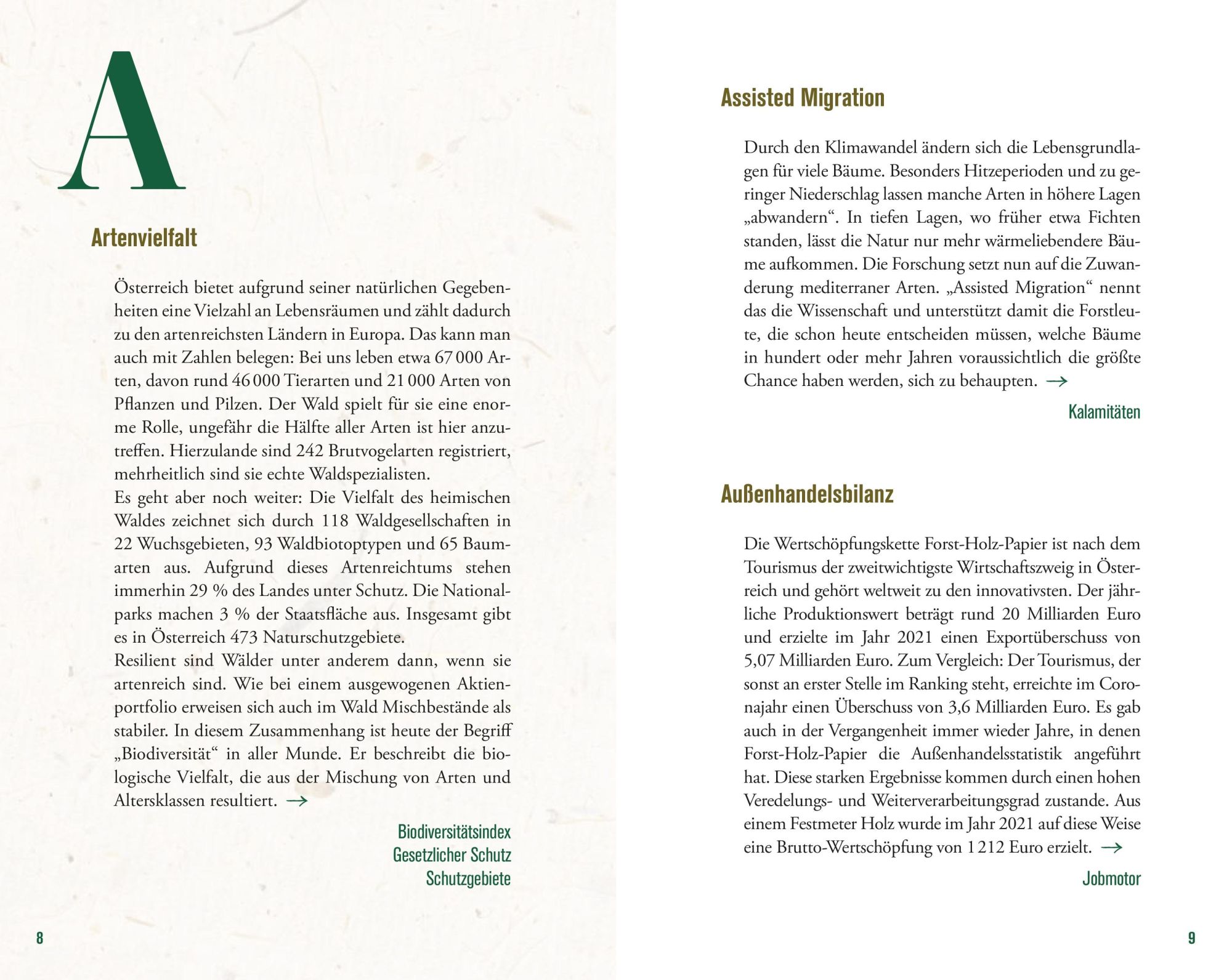 Bild: 9783702510923 | Der Wald in Österreich | Hermine Hackl | Buch | 192 S. | Deutsch