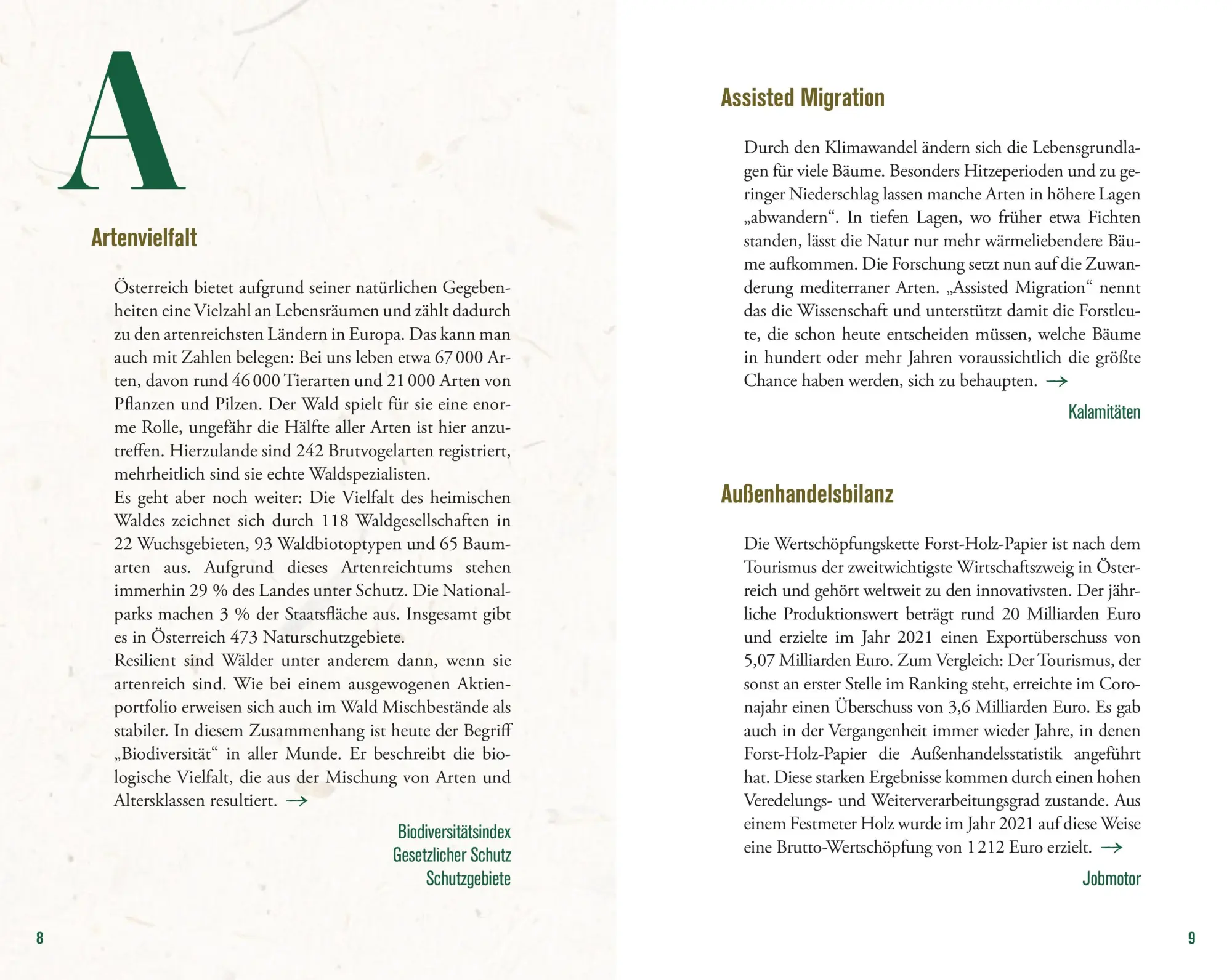 Bild: 9783702510923 | Der Wald in Österreich | Hermine Hackl | Buch | 192 S. | Deutsch