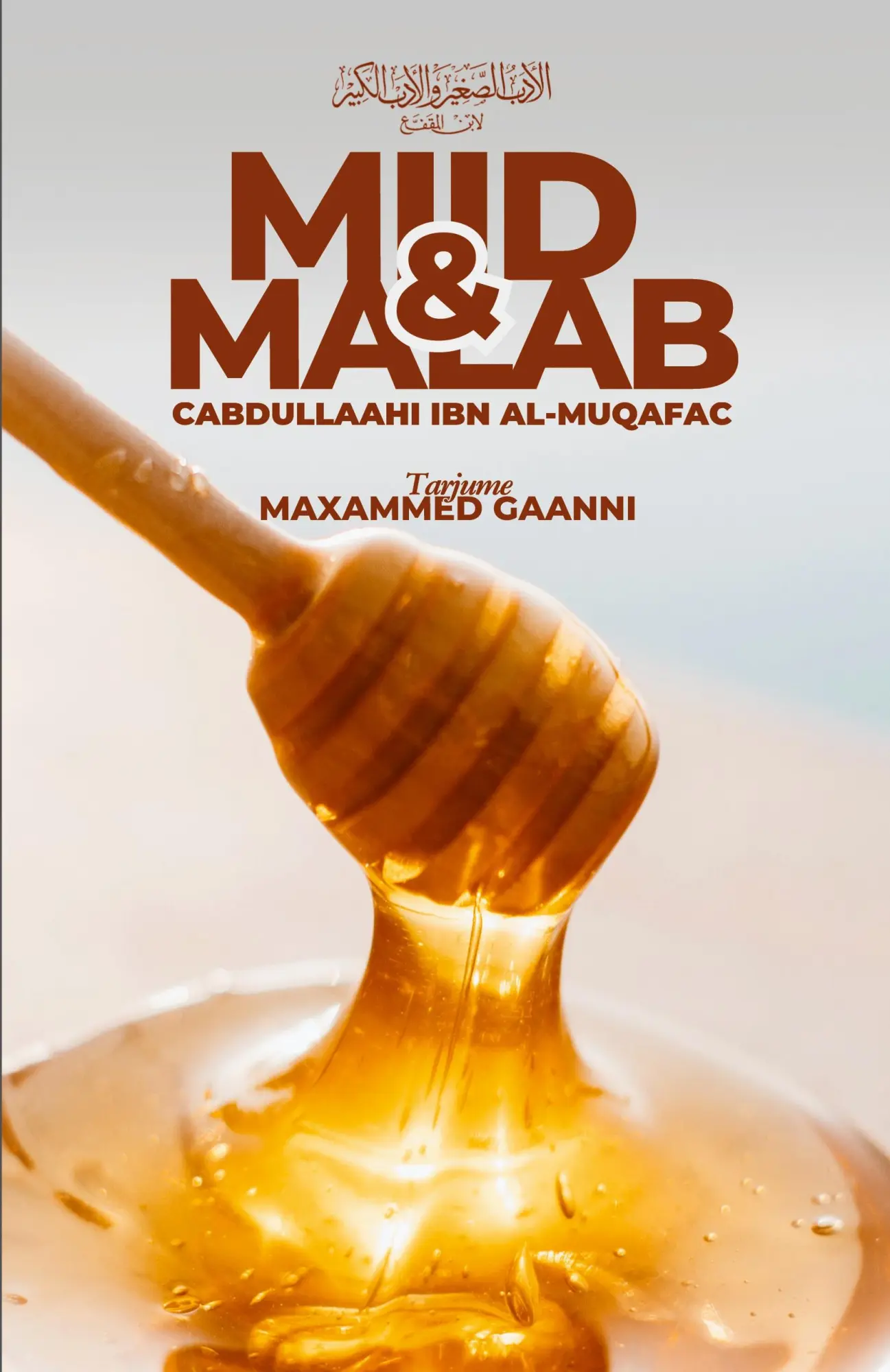Cover: 9781912411023 | MIID &amp; MALAB | Maxammed Gaanni | Taschenbuch | Somali | 2024