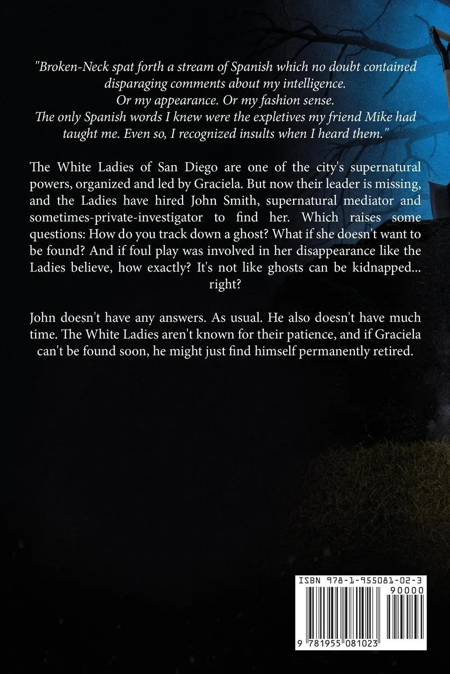 Rückseite: 9781955081023 | Ghost of a Chance | Chris Tullbane | Taschenbuch | Englisch | 2021