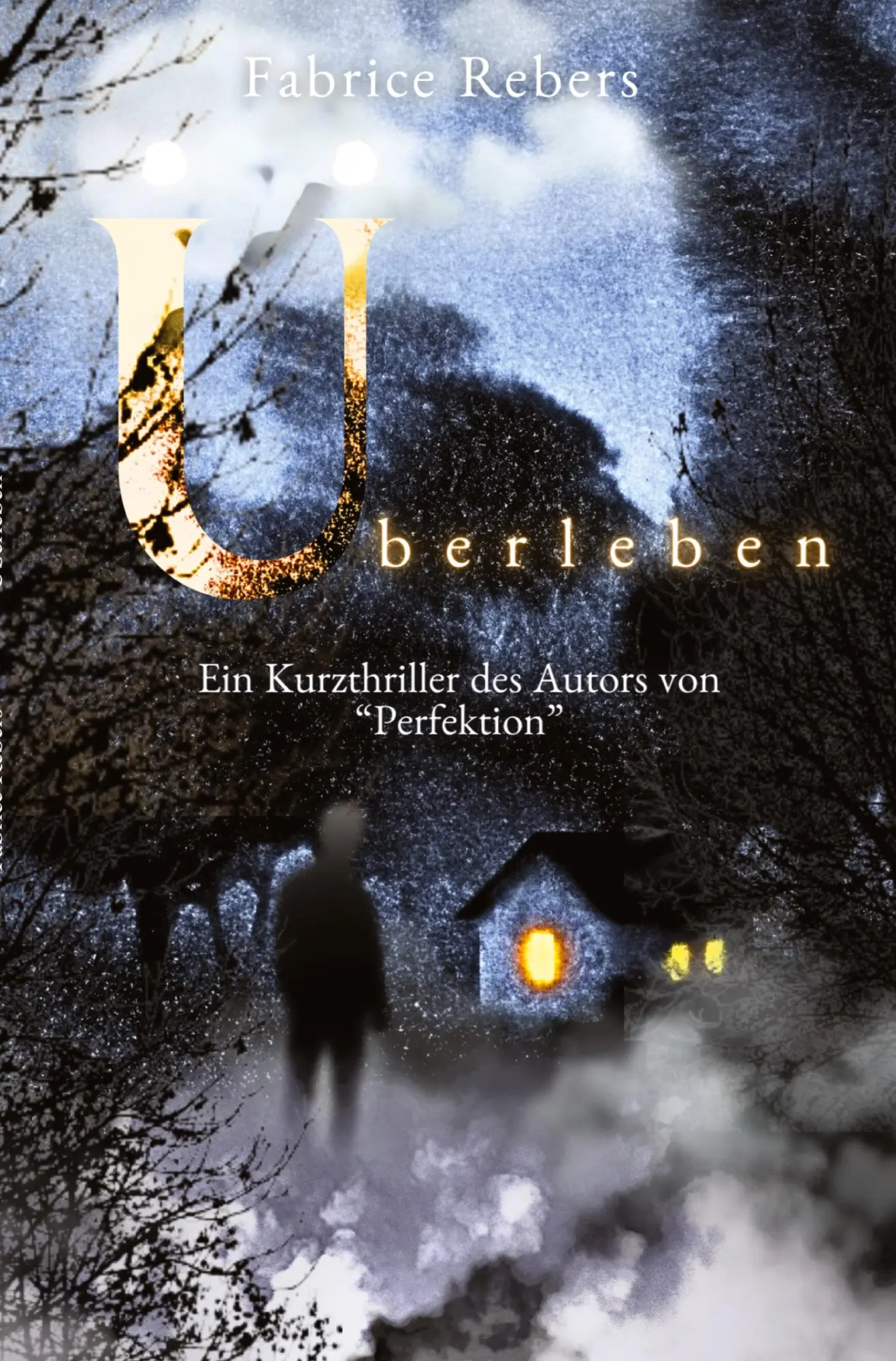 Cover: 9783384171023 | Überleben | Ein Kurzthriller des Autors von "Perfektion" | Rebers
