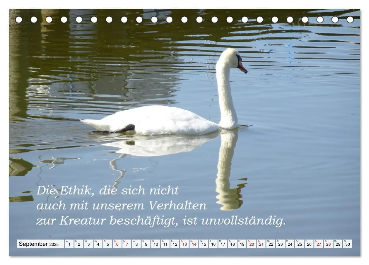 Bild: 9783435101023 | Albert Schweitzer Zitate (Tischkalender 2025 DIN A5 quer), CALVENDO...