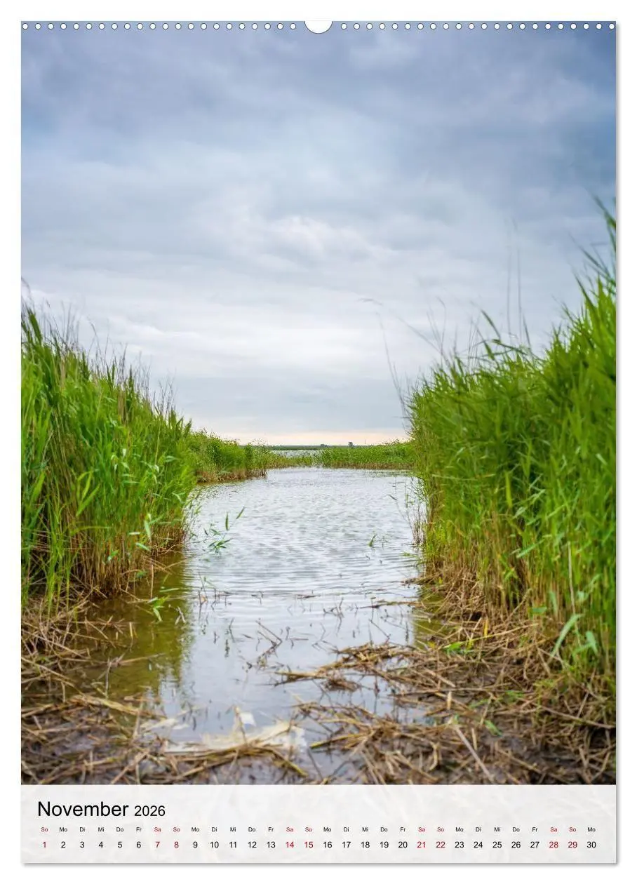 Bild: 9783516691023 | Fischland-Darß-Zingst - Im Licht des Nordens (Wandkalender 2026 DIN...