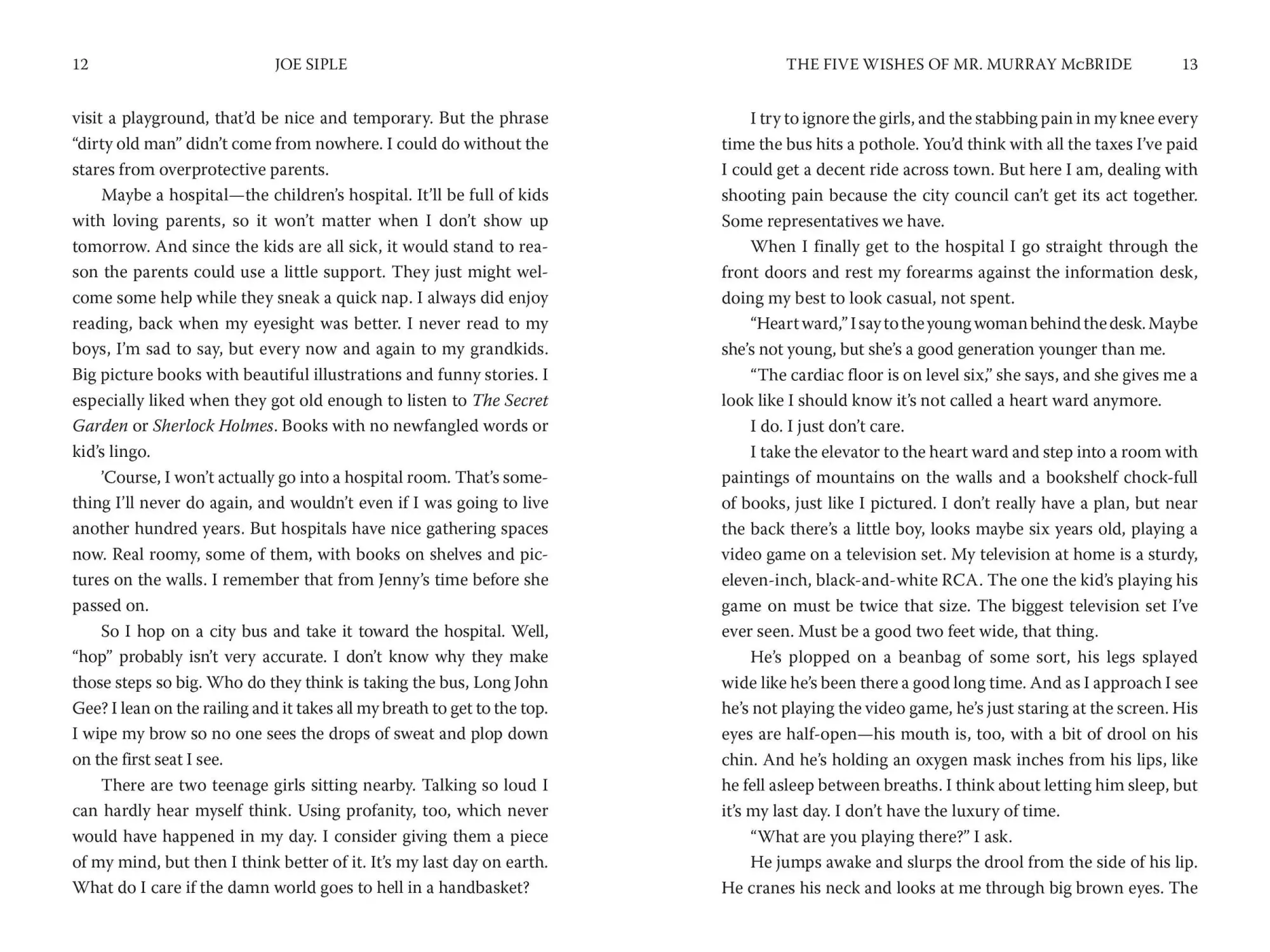 Bild: 9781454961123 | The Five Wishes of Mr. Murray McBride | Joe Siple | Taschenbuch | 2025