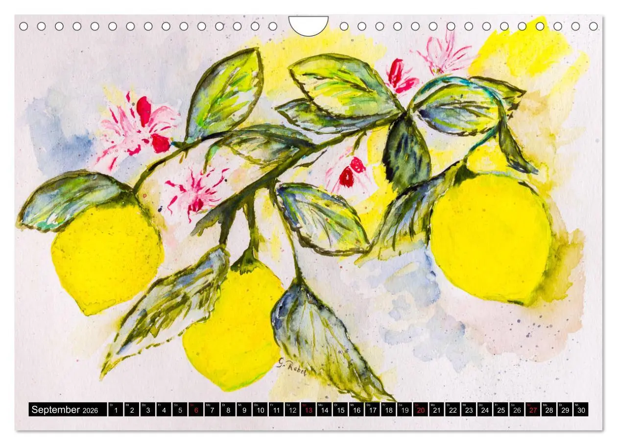 Bild: 9783457971123 | Blumenjahr - Bunte Blüten in Aquarell (Wandkalender 2026 DIN A4...