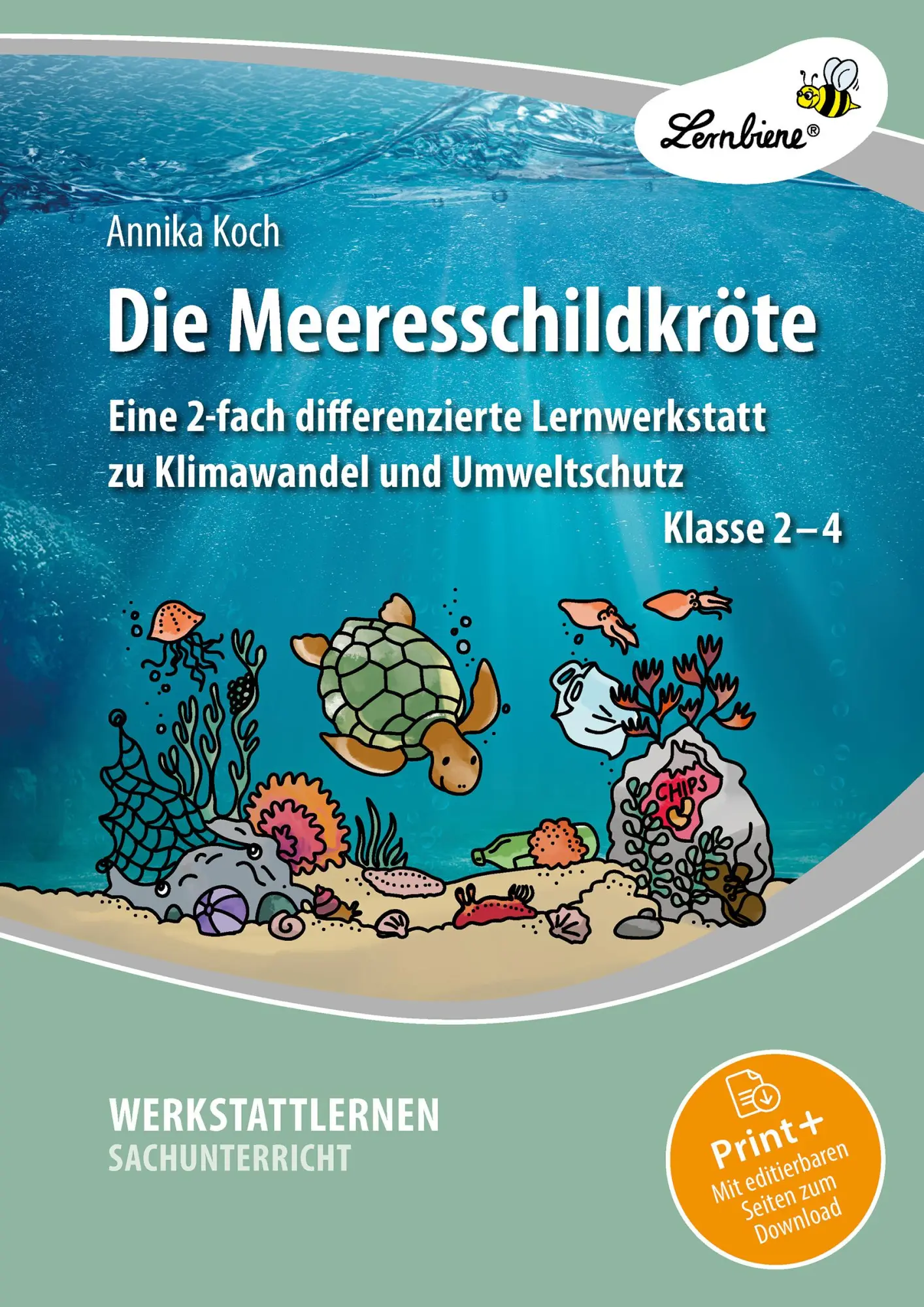 Cover: 9783746811123 | Die Meeresschildkröte | Annika Koch | Bundle | Deutsch | 2023