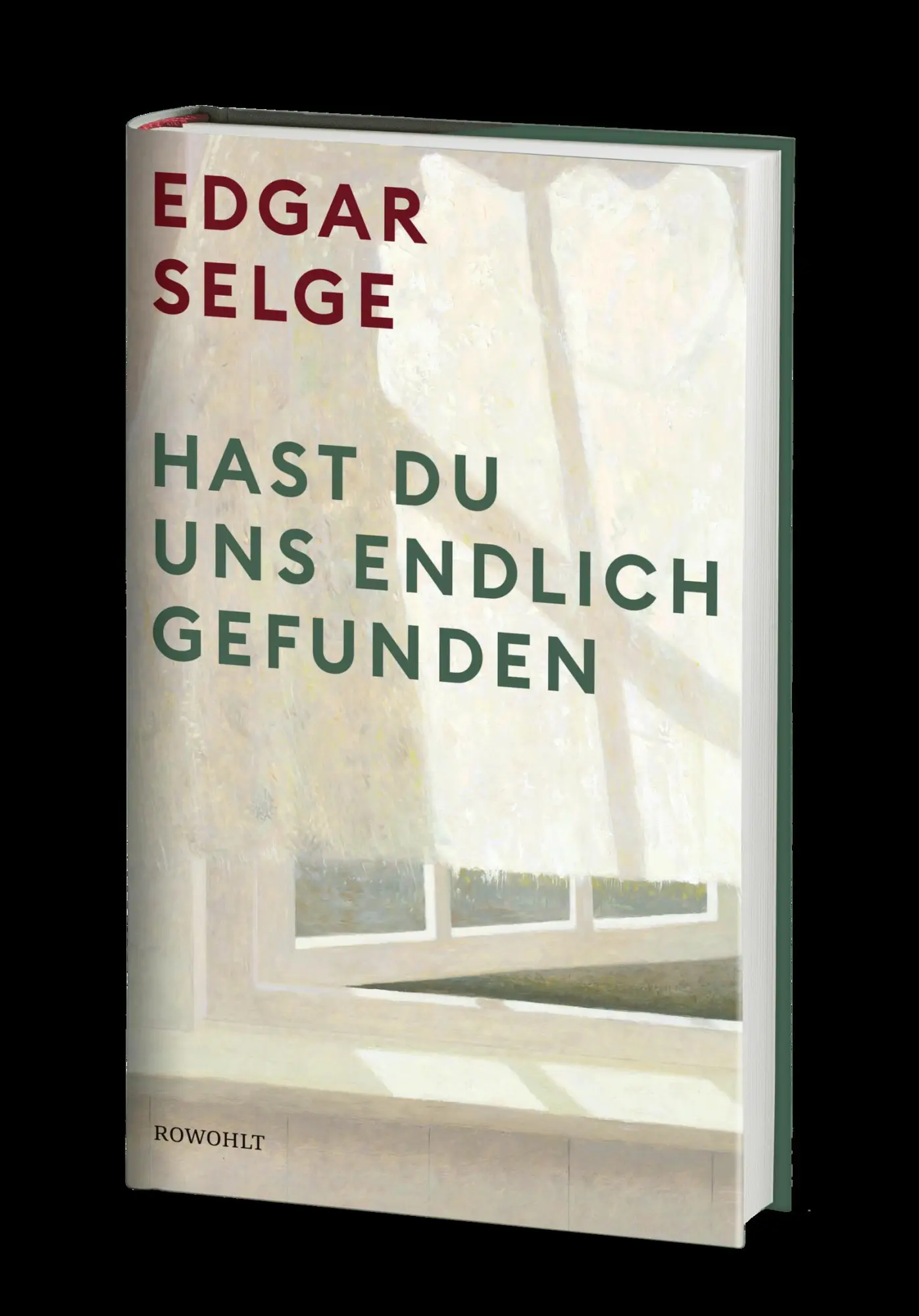 Bild: 9783498001223 | Hast du uns endlich gefunden | Edgar Selge | Buch | 304 S. | Deutsch