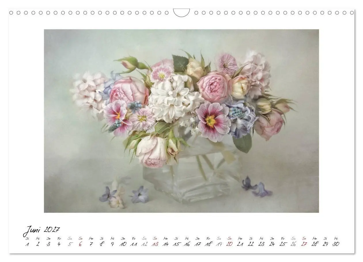 Bild: 9783569901223 | Kleine Blütenwunder (Wandkalender 2027 DIN A3 quer), CALVENDO...