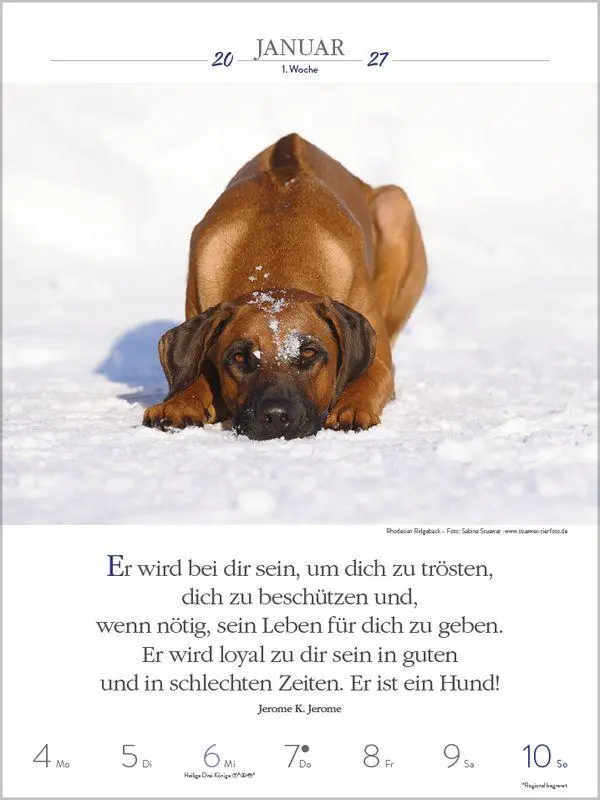 Bild: 9783819301223 | Literaturkalender Hunde 2027 | Korsch Verlag | Kalender | 54 S. | 2027